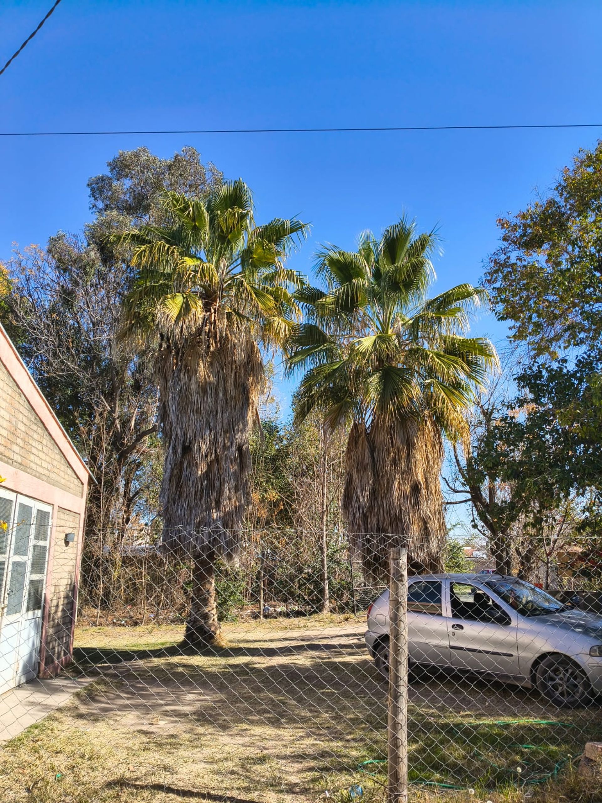 Casa en Venta en Rivadavia, Mendoza - USD 75.000 | Inmoup - 10
