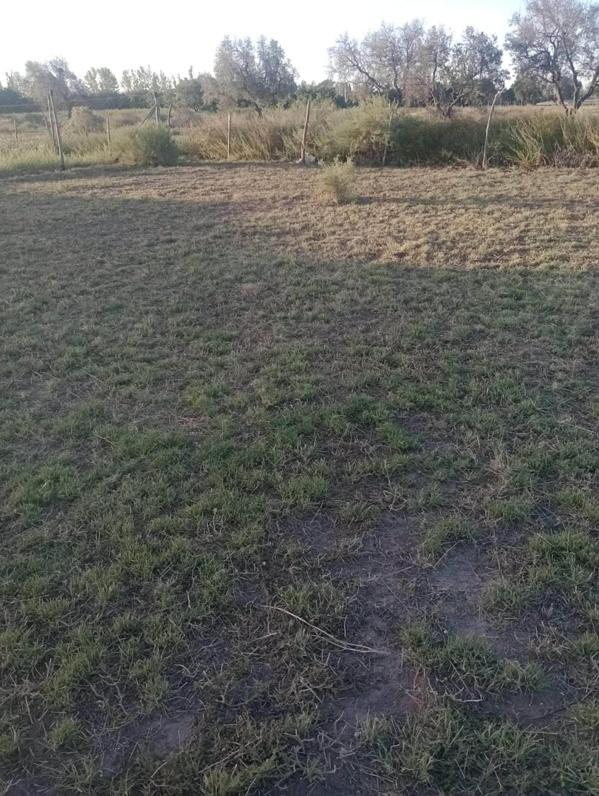 Lote en Venta en San Rafael, Mendoza