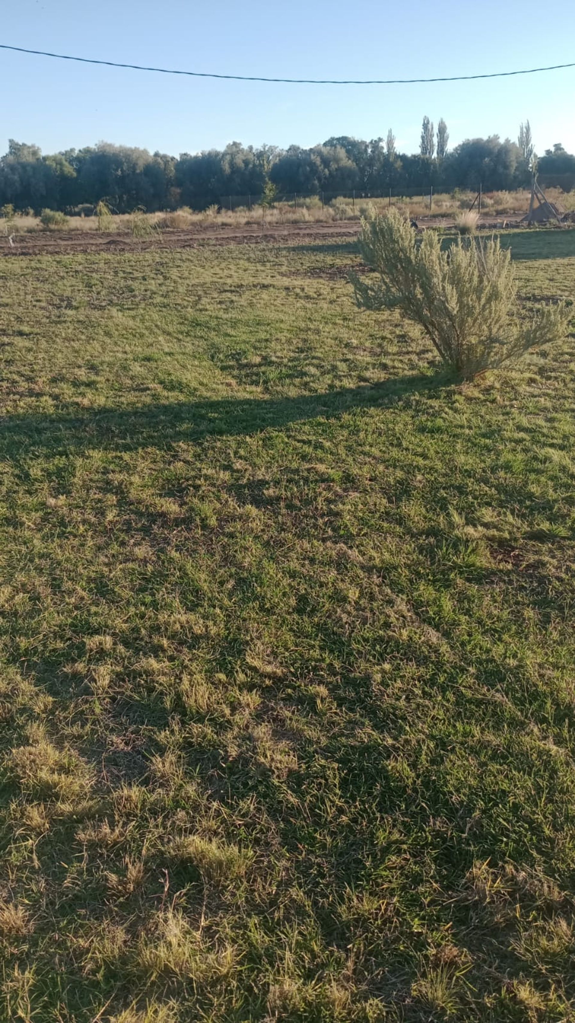 Lote en Venta en San Rafael, Mendoza