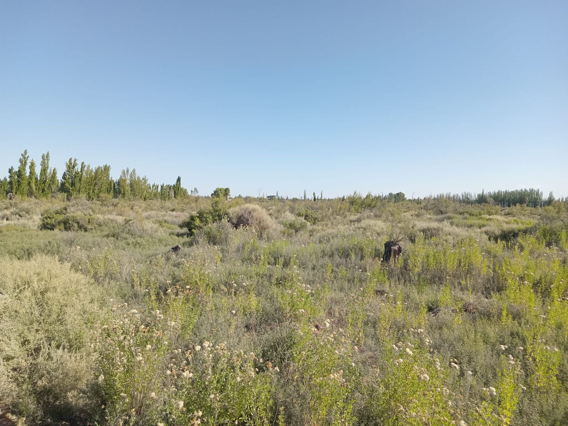 Lote en Venta en Guaymallen, Mendoza