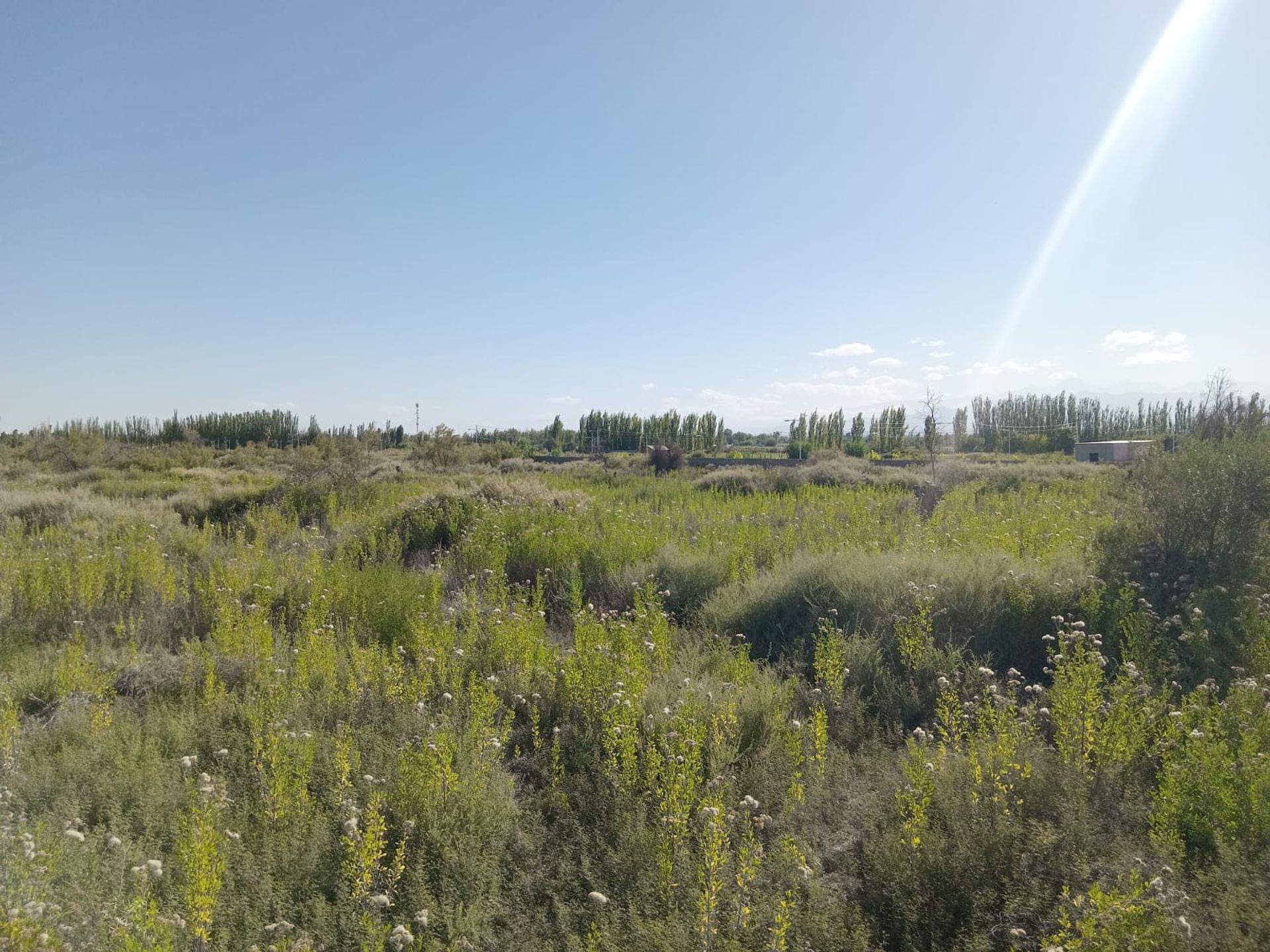 Lote en Venta en Guaymallen, Mendoza