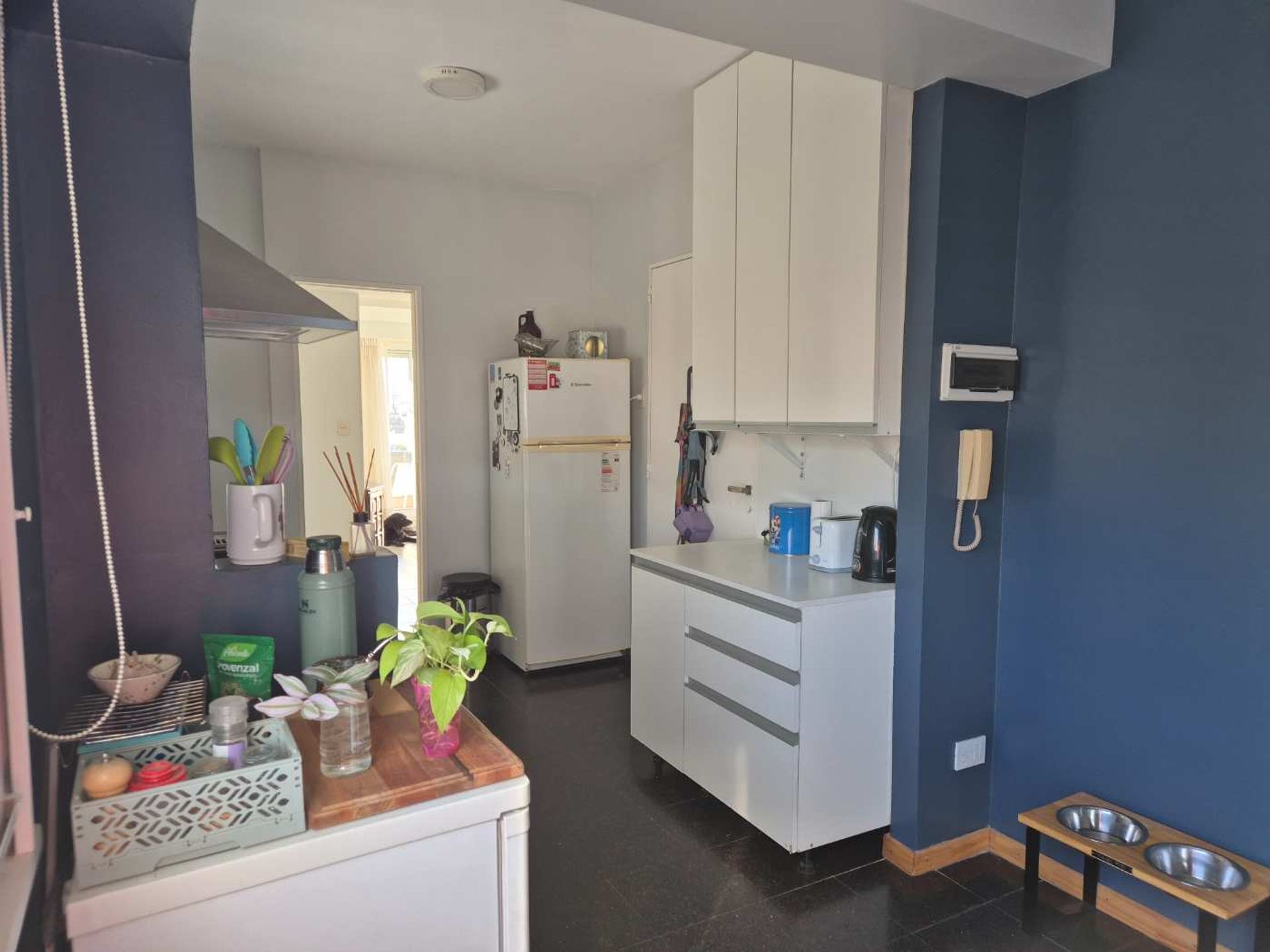 Departamento en Venta en Villa Ortuzar, Capital Federal