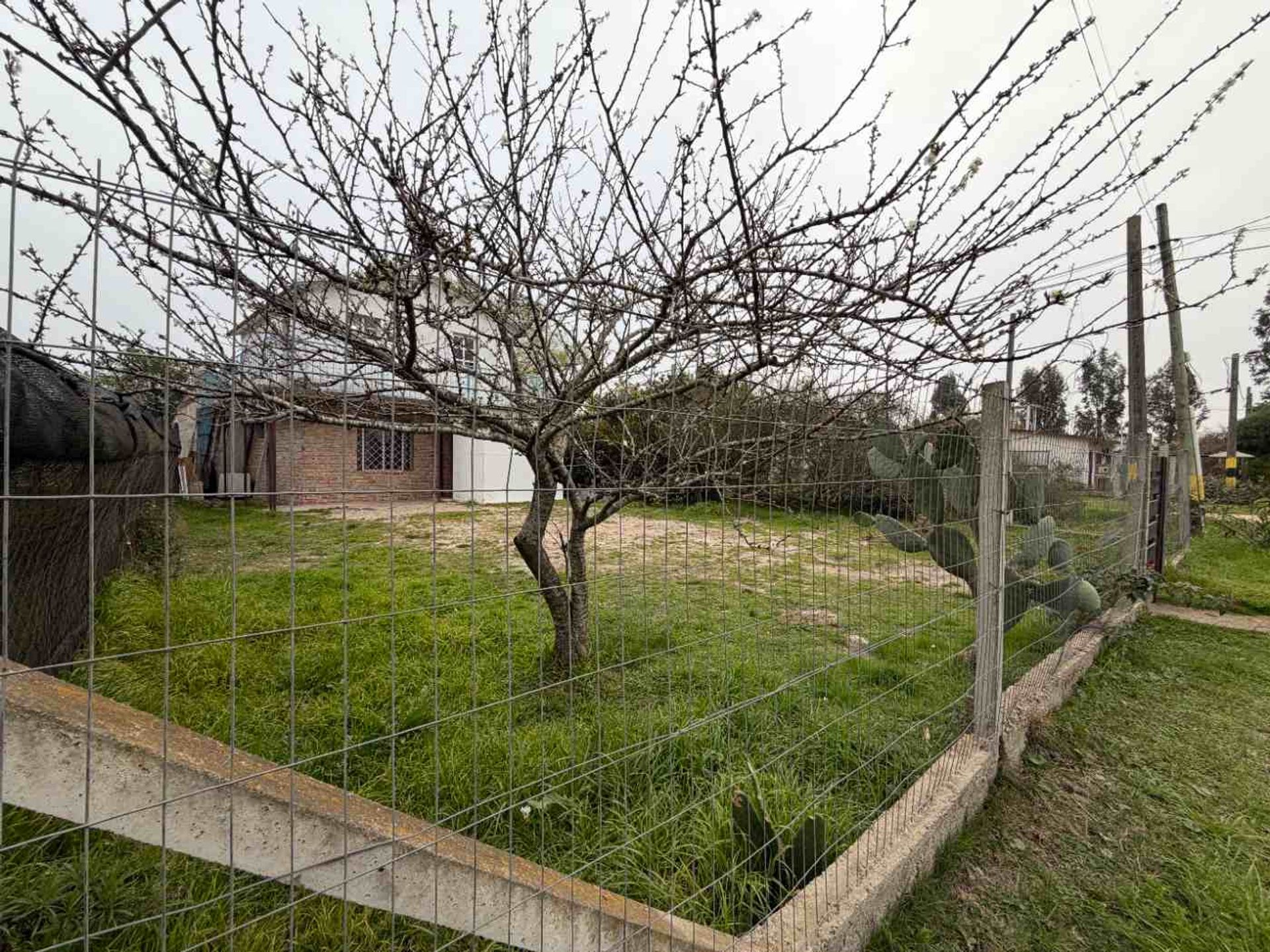 Alquilo casa 2 dormitorios terreno amplio Salinas - 15