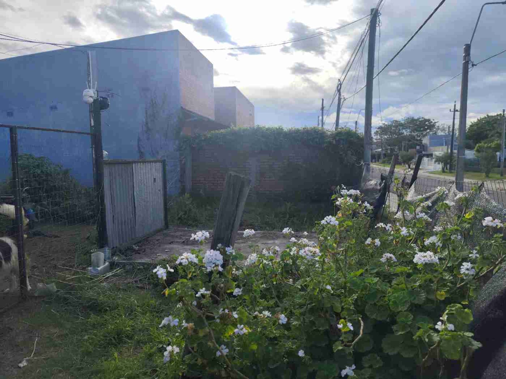 CASA EN VENTA CON POTENCIAL DE DESARROLlo - 2