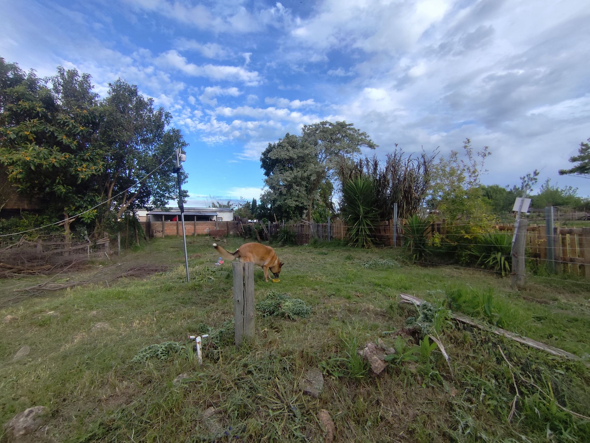 CASA EN VENTA CON POTENCIAL DE DESARROLlo - 9