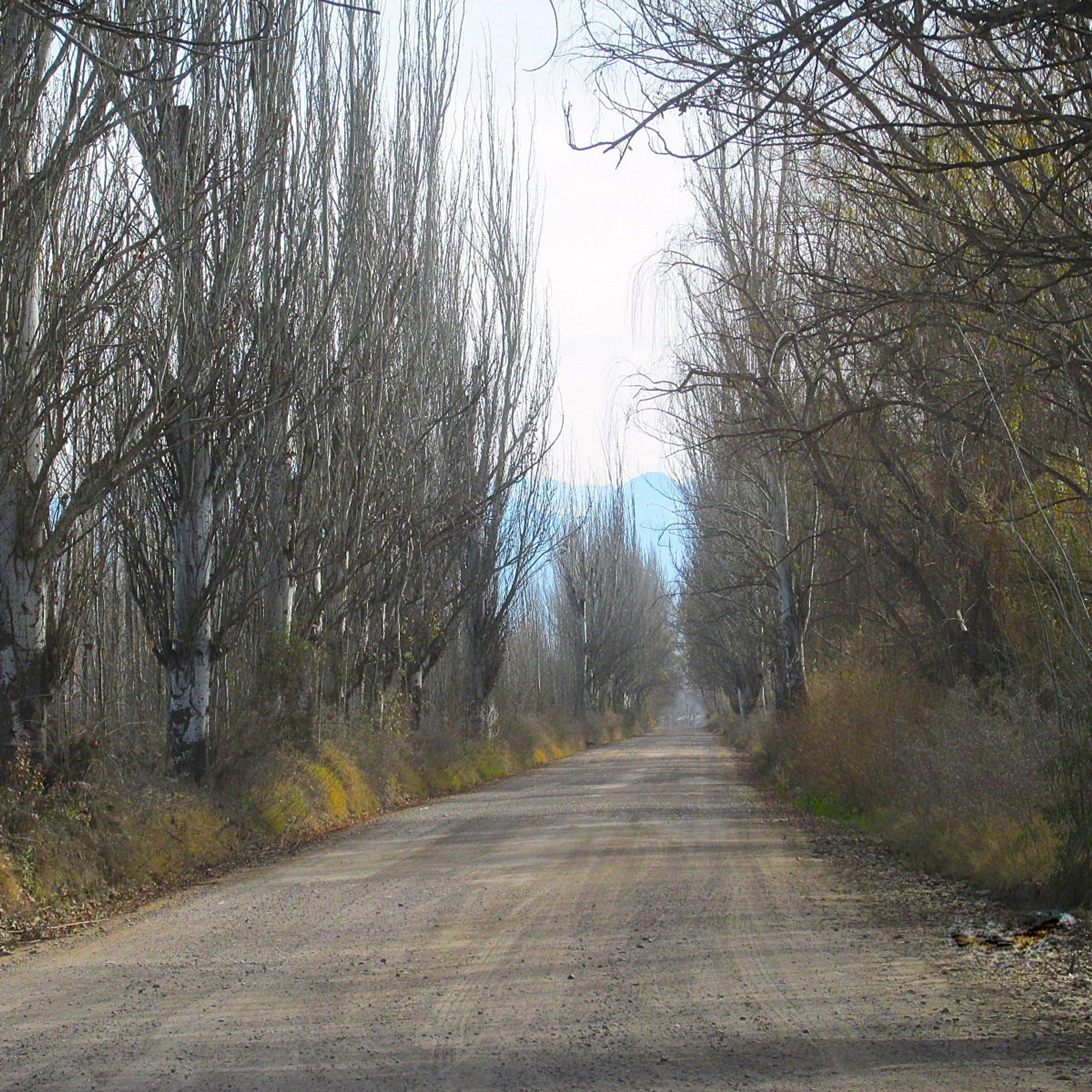 Campo en Venta en Tunuyan, Mendoza