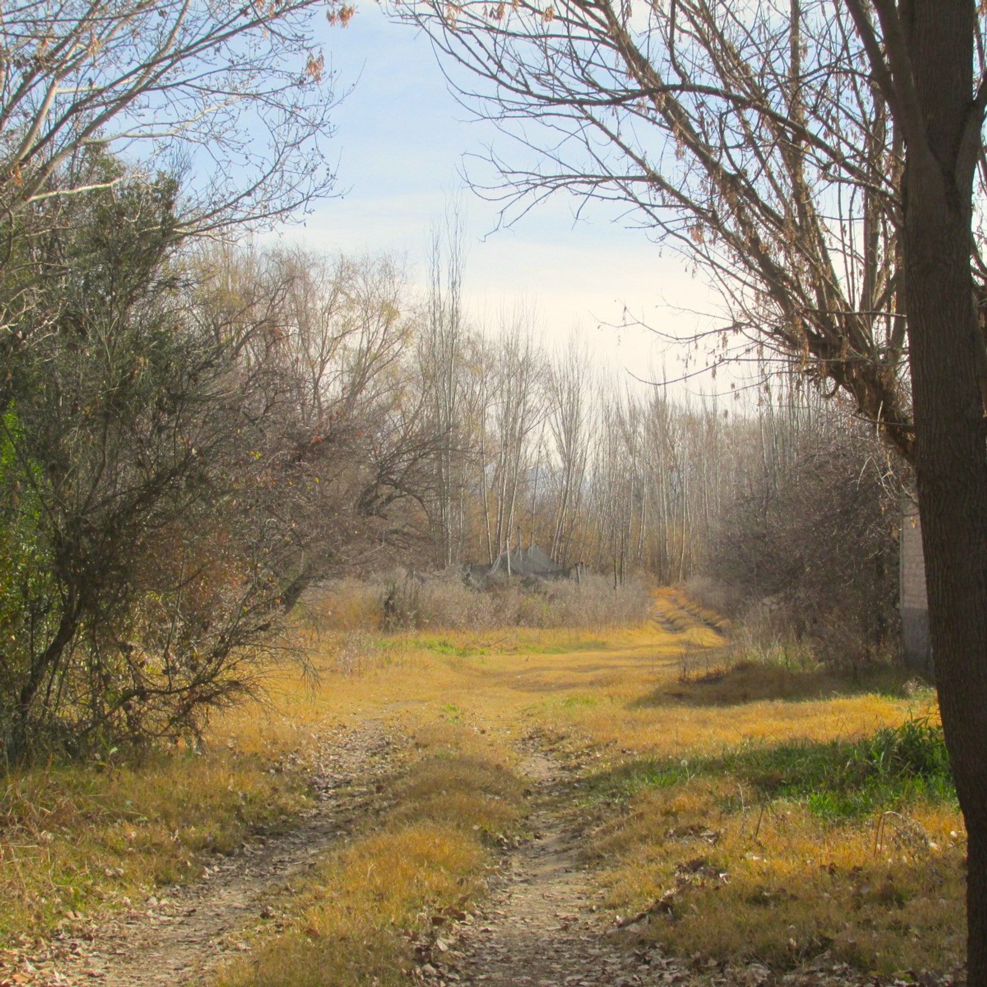 Campo en Venta en Tunuyan, Mendoza