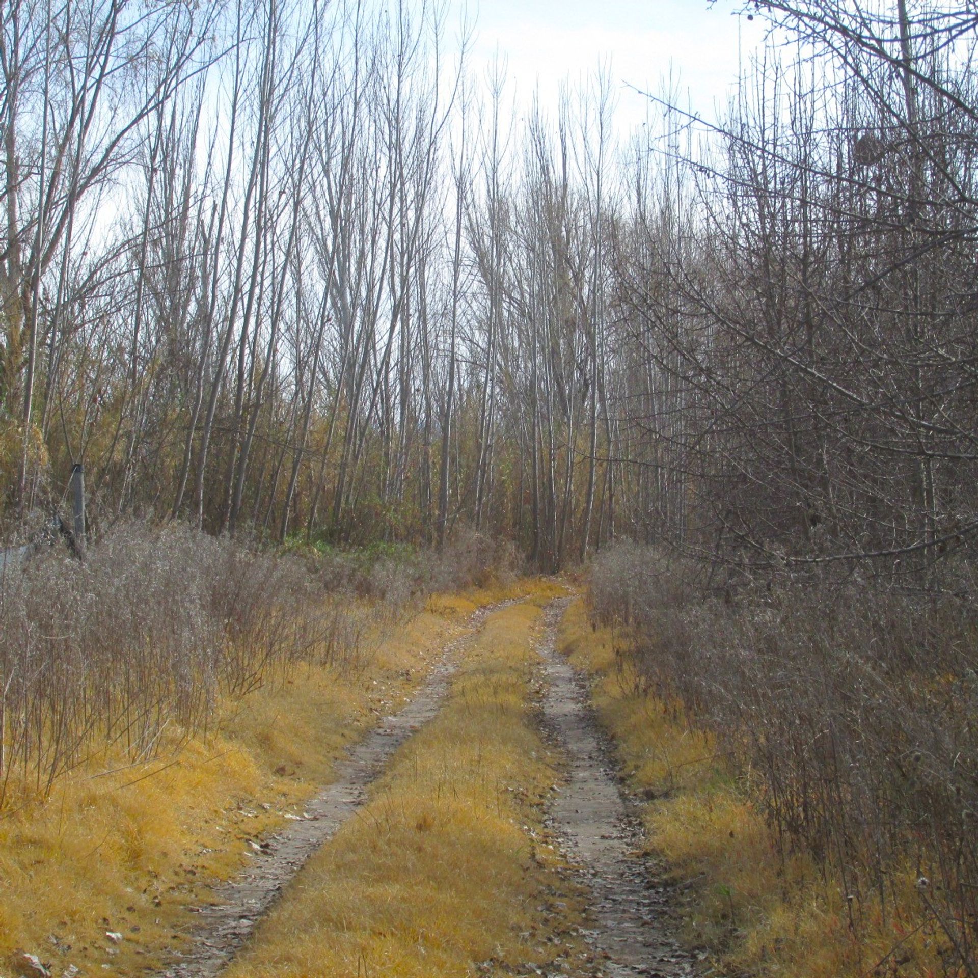 Campo en Venta en Tunuyan, Mendoza
