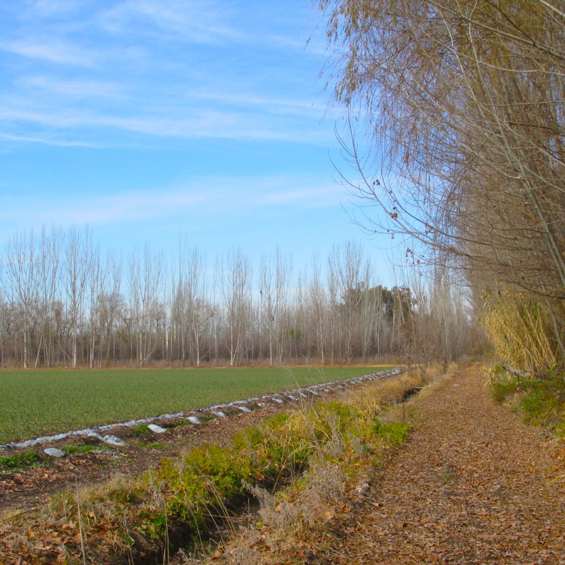Campo en Venta en Tunuyan, Mendoza