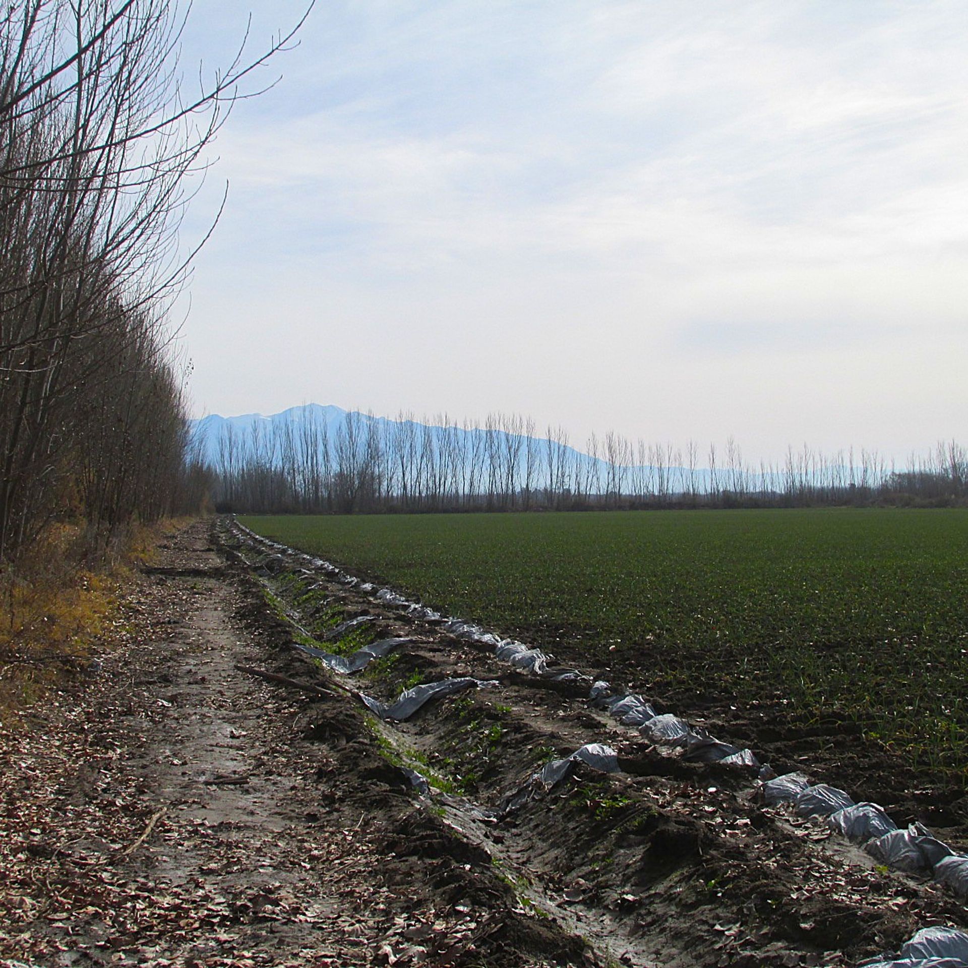 Campo en Venta en Tunuyan, Mendoza