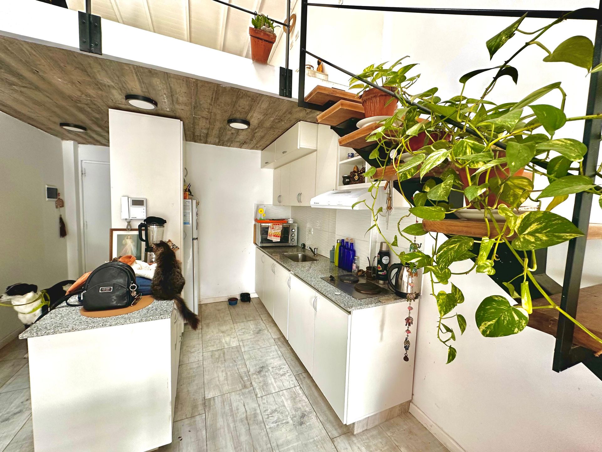 Departamento en Venta en Mar del Plata, Buenos Aires Interior