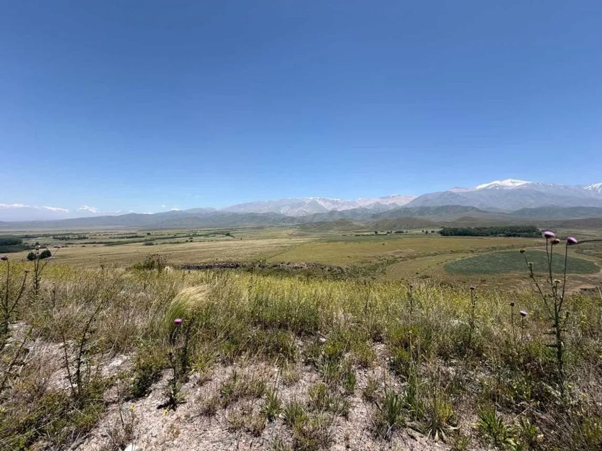 Lote en Venta en Tupungato, Mendoza