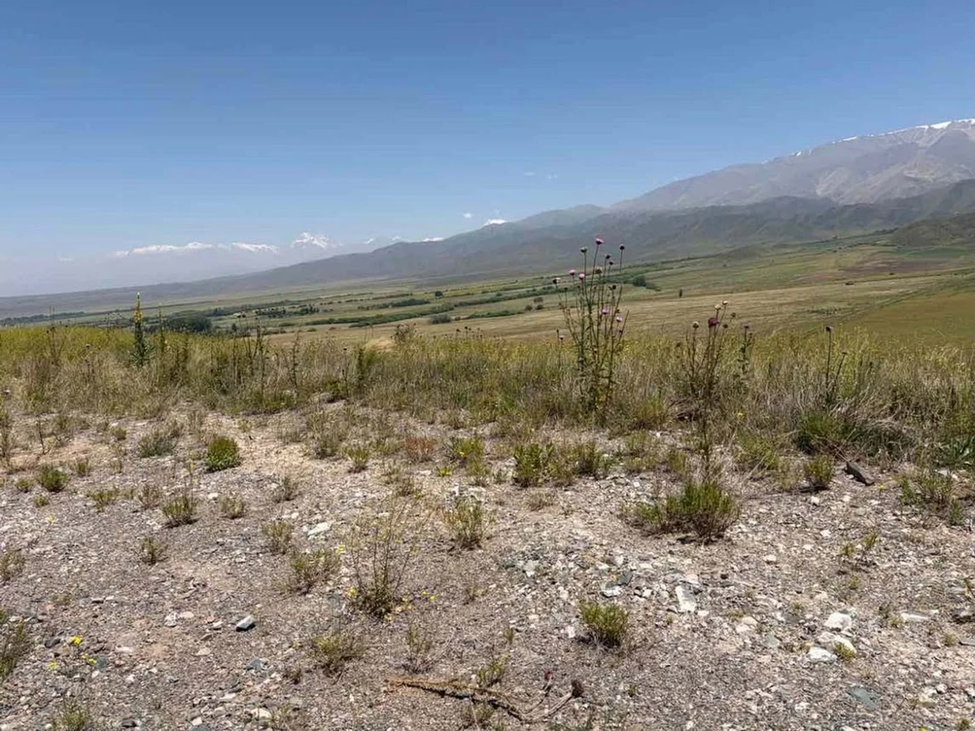 Lote en Venta en Tupungato, Mendoza