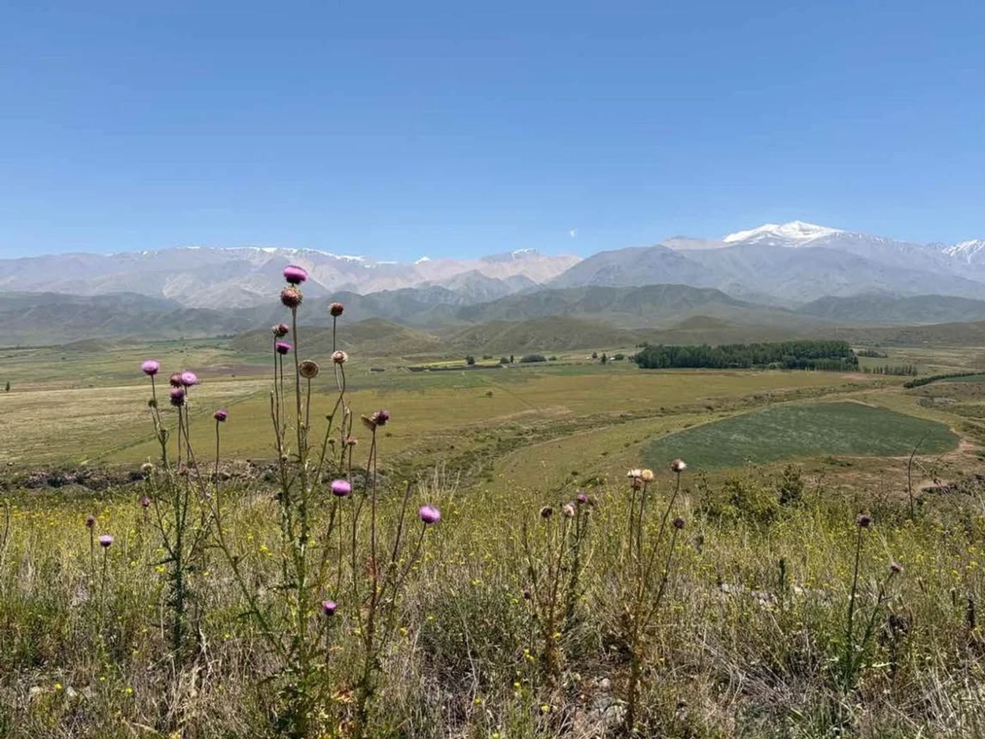 Lote en Venta en Tupungato, Mendoza