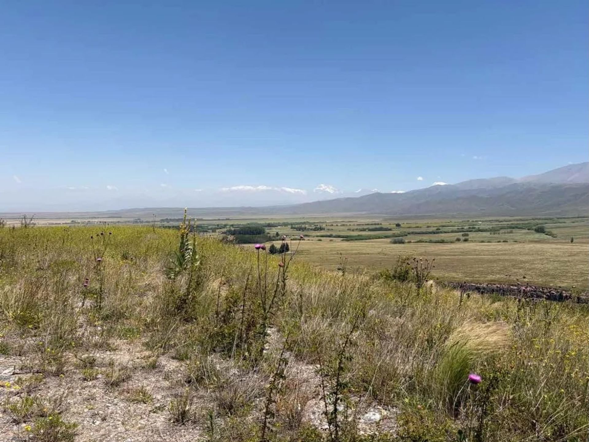 Lote en Venta en Tupungato, Mendoza