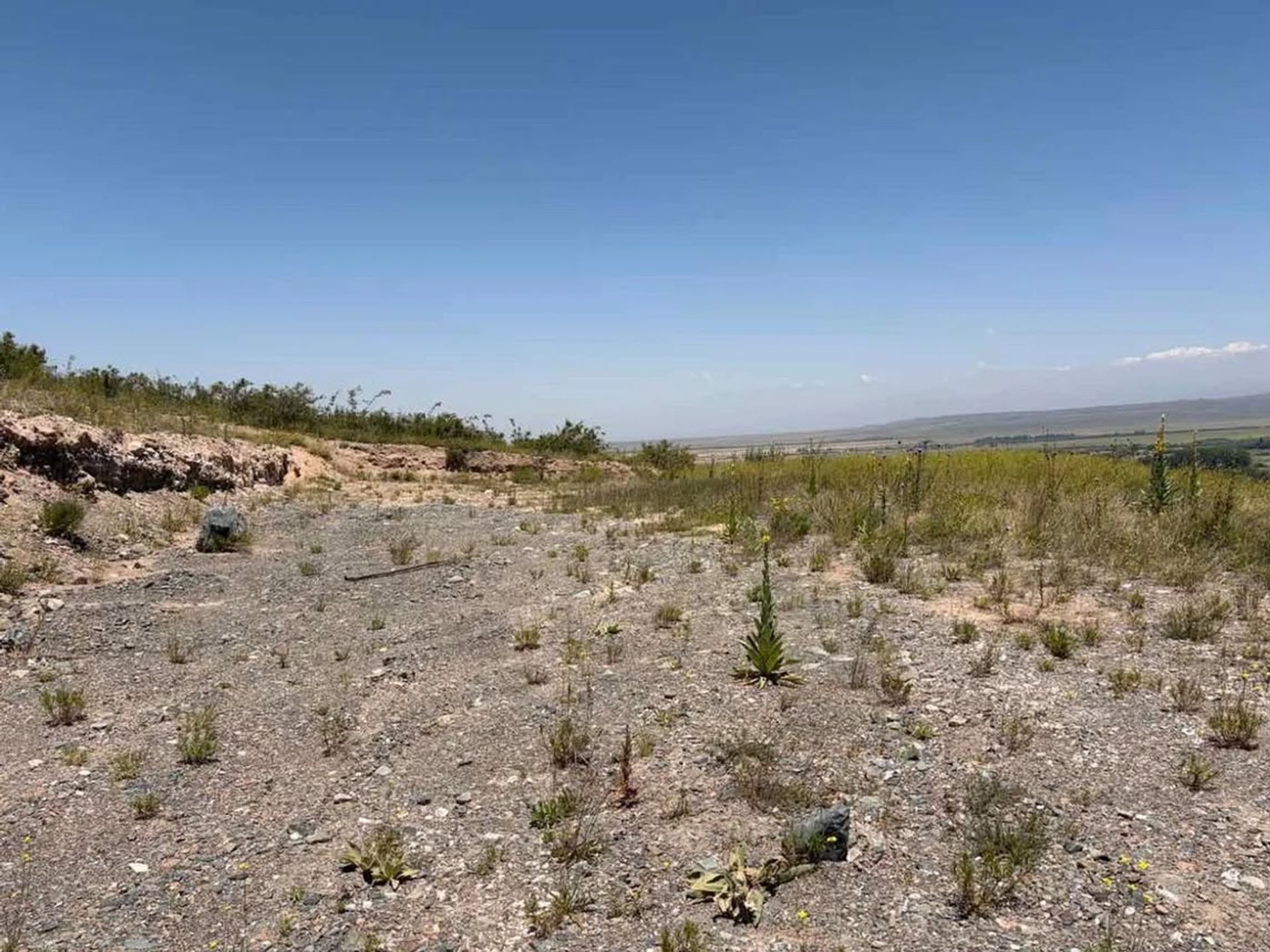 Lote en Venta en Tupungato, Mendoza