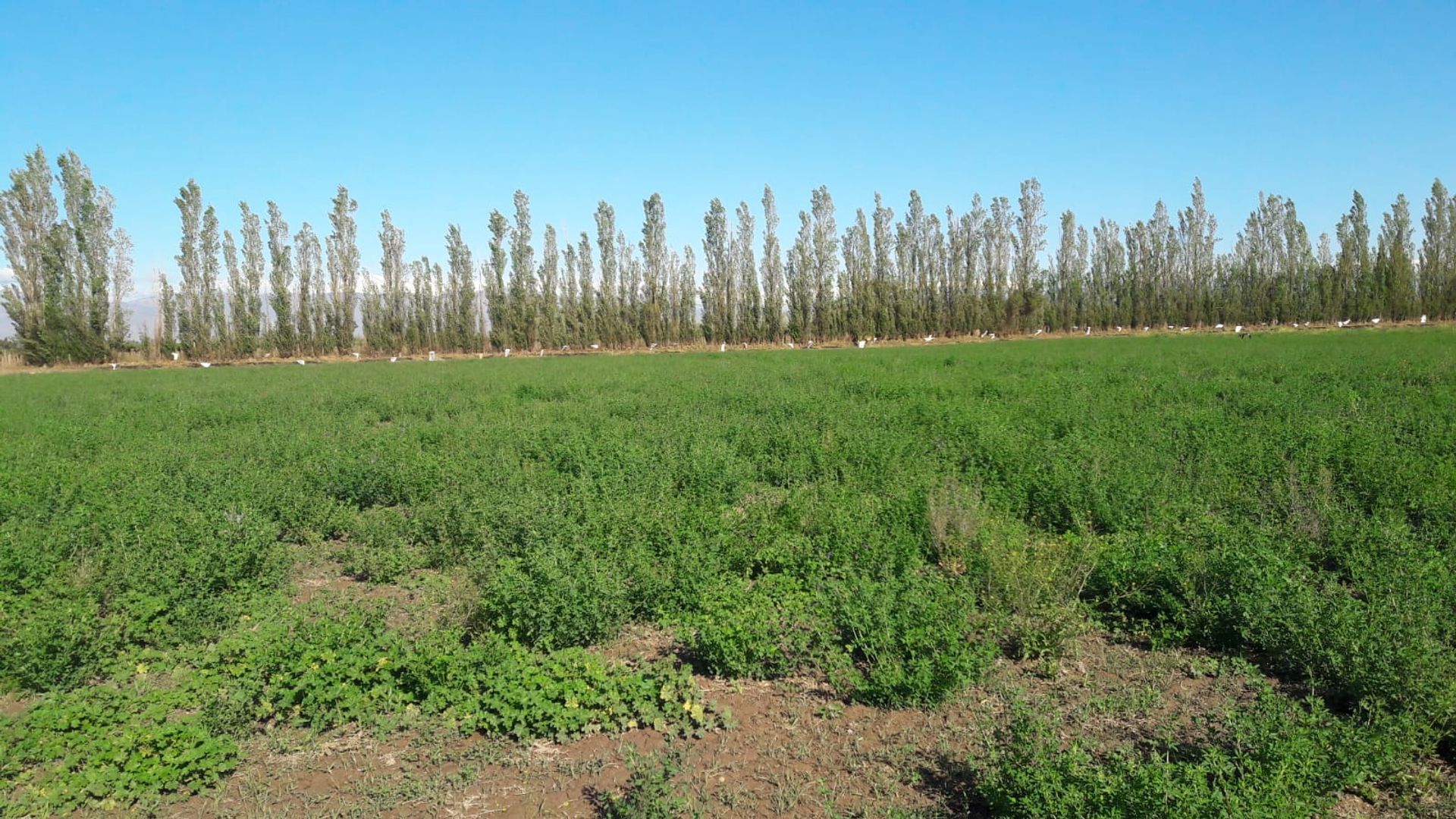 Lote en Venta en Rawson, San Juan