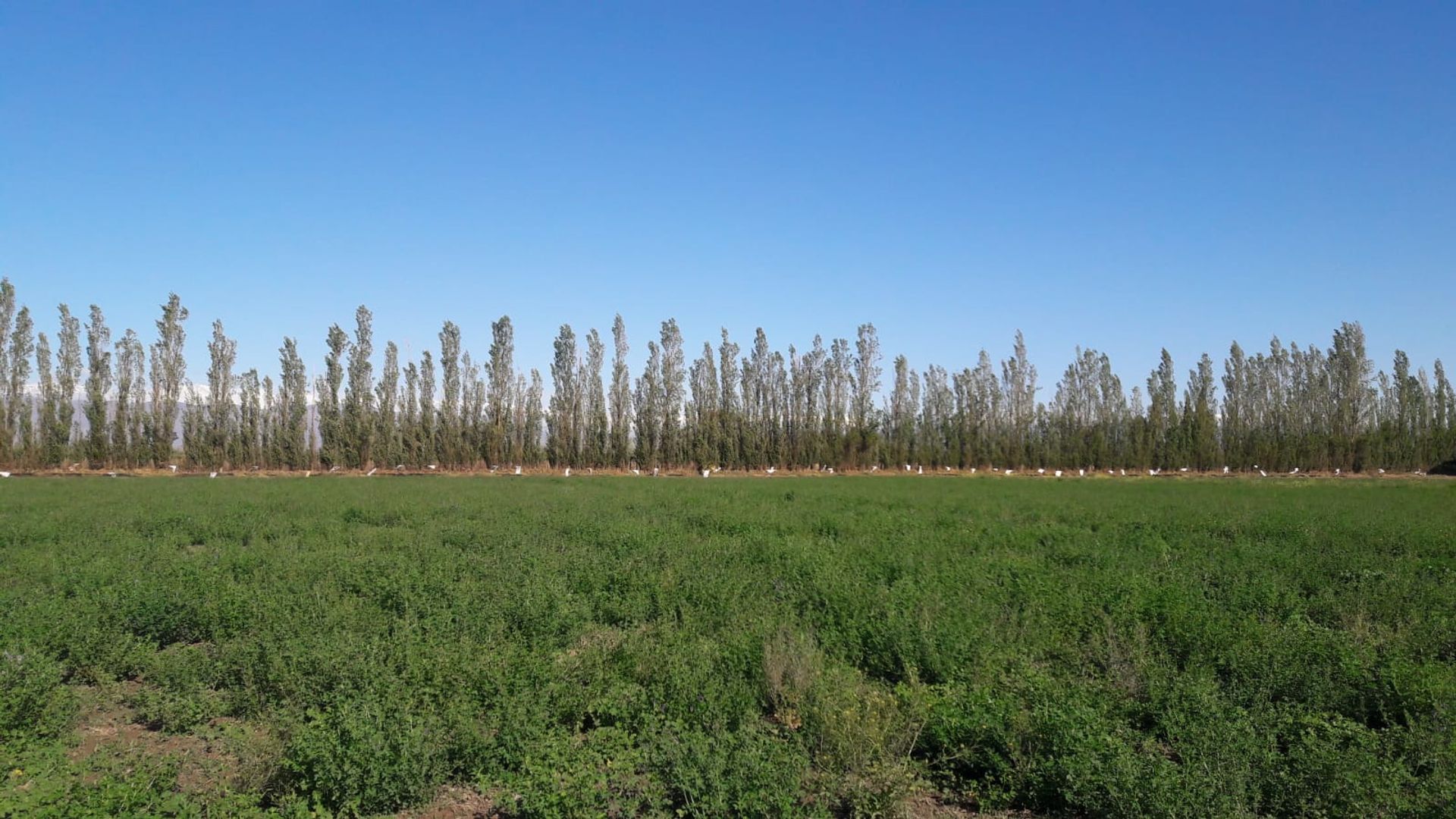Lote en Venta en Rawson, San Juan