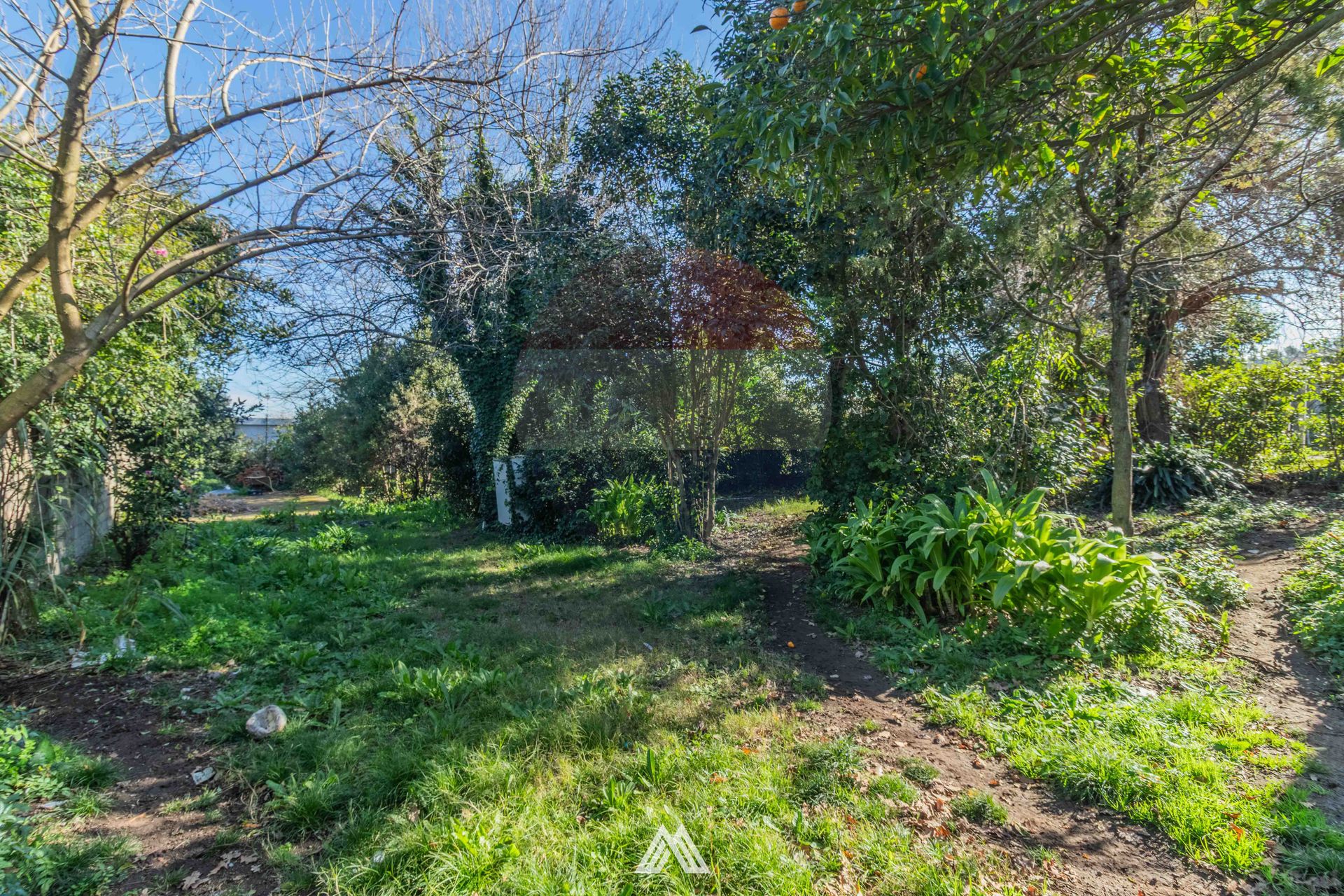 Venta Casa Malvin Norte - 19