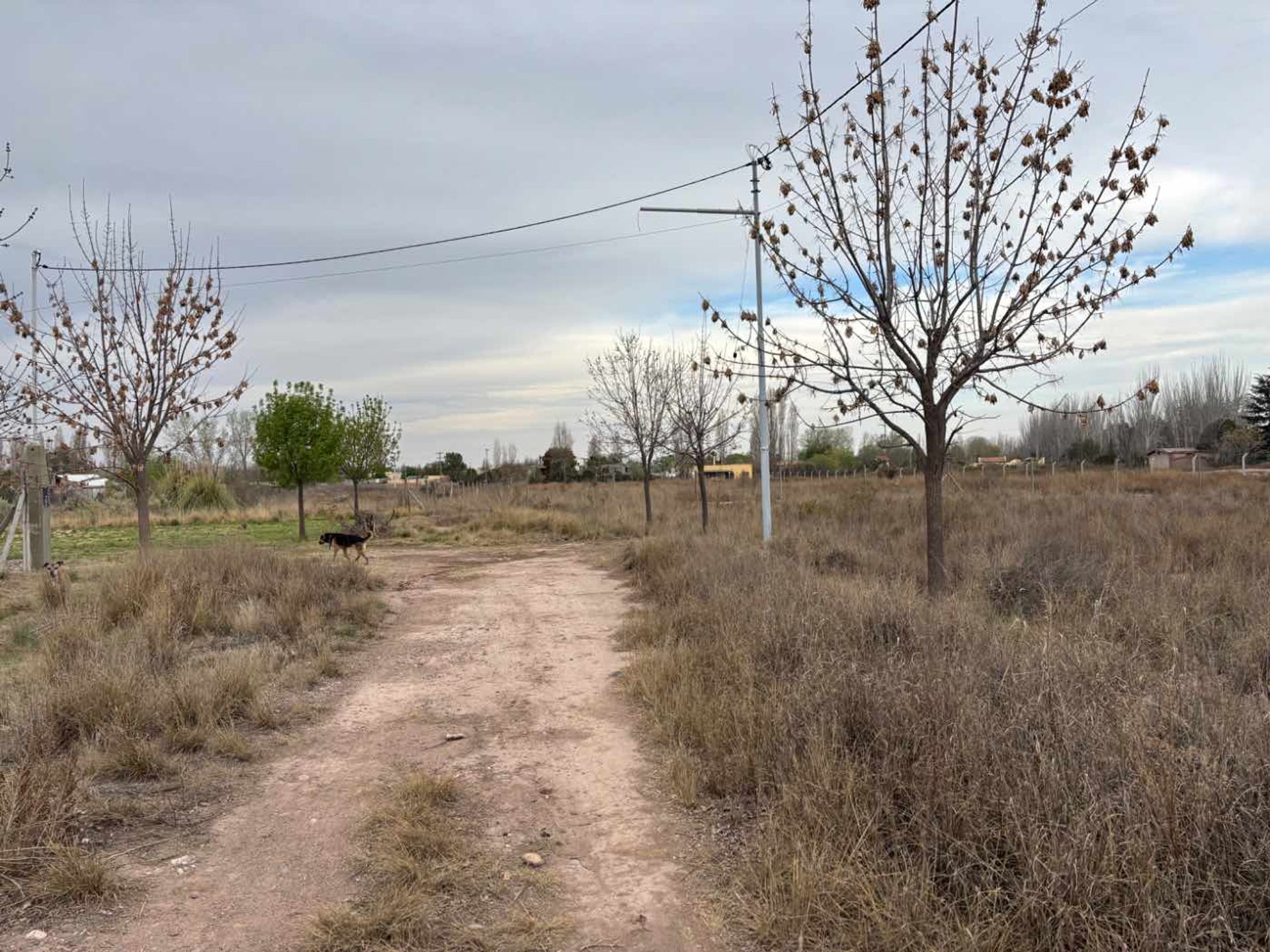 Lote en Venta en Lujan de Cuyo, Mendoza