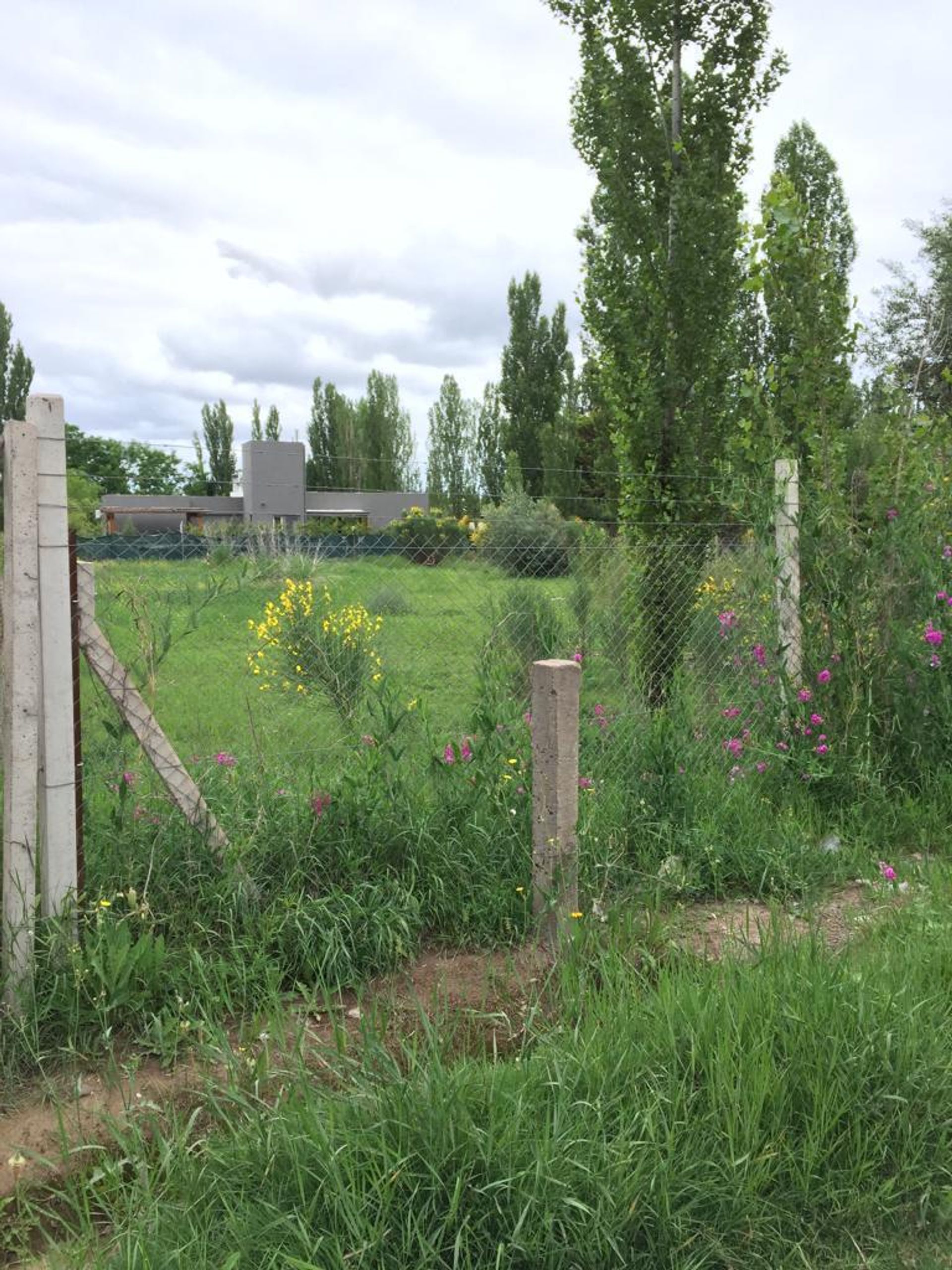 Lote en Venta en Lujan de Cuyo, Mendoza