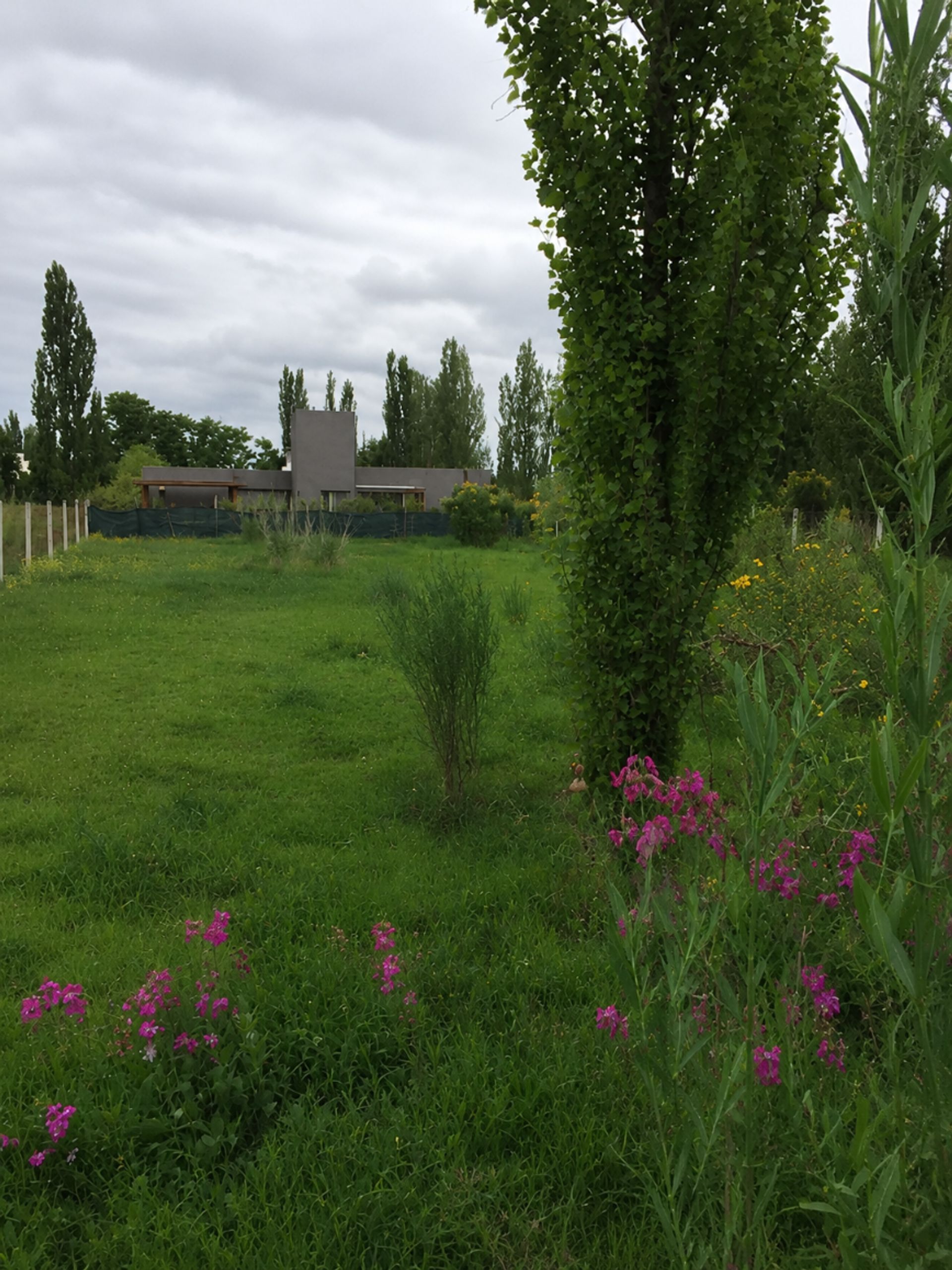 Lote en Venta en Lujan de Cuyo, Mendoza