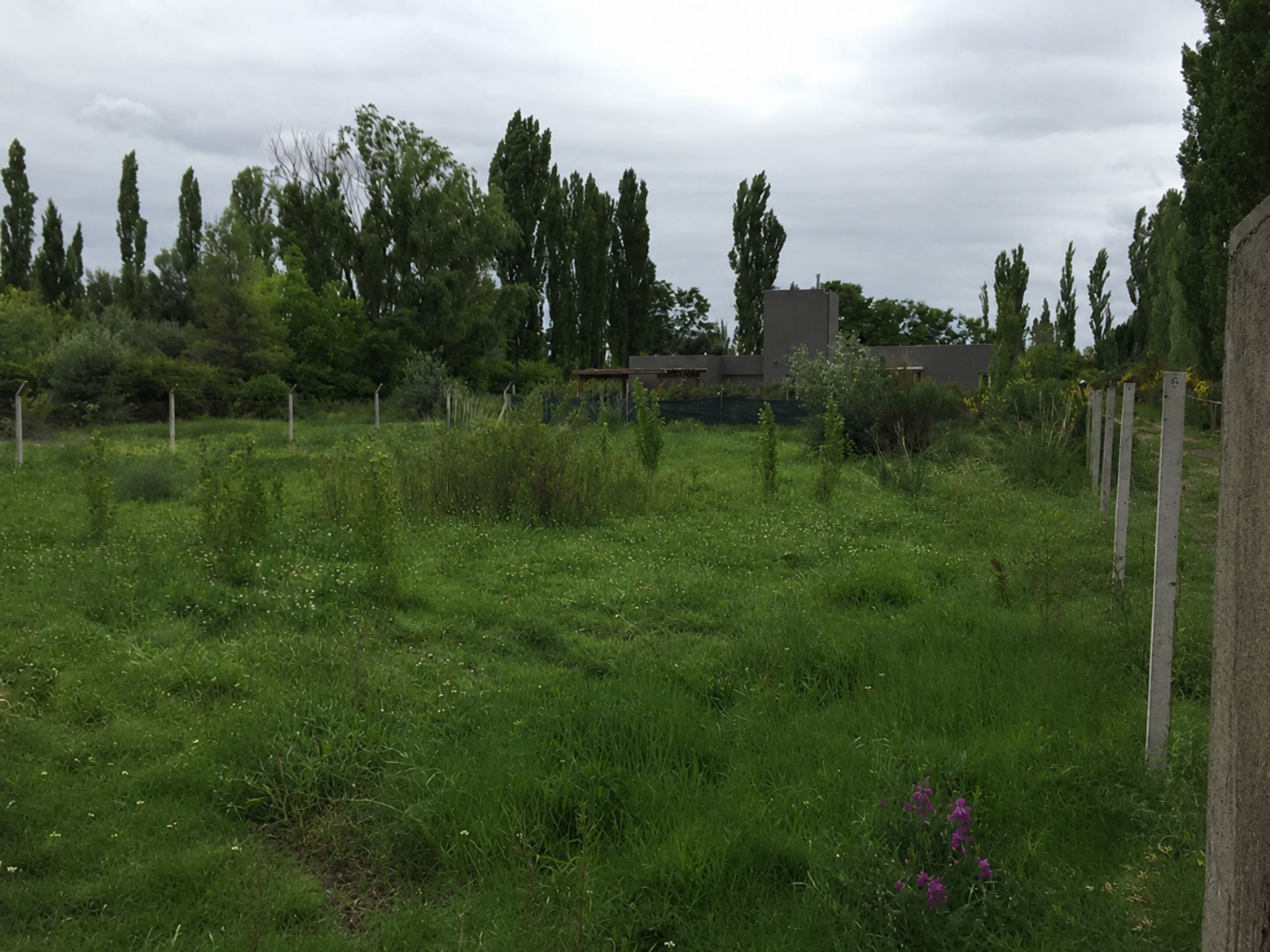 Lote en Venta en Lujan de Cuyo, Mendoza