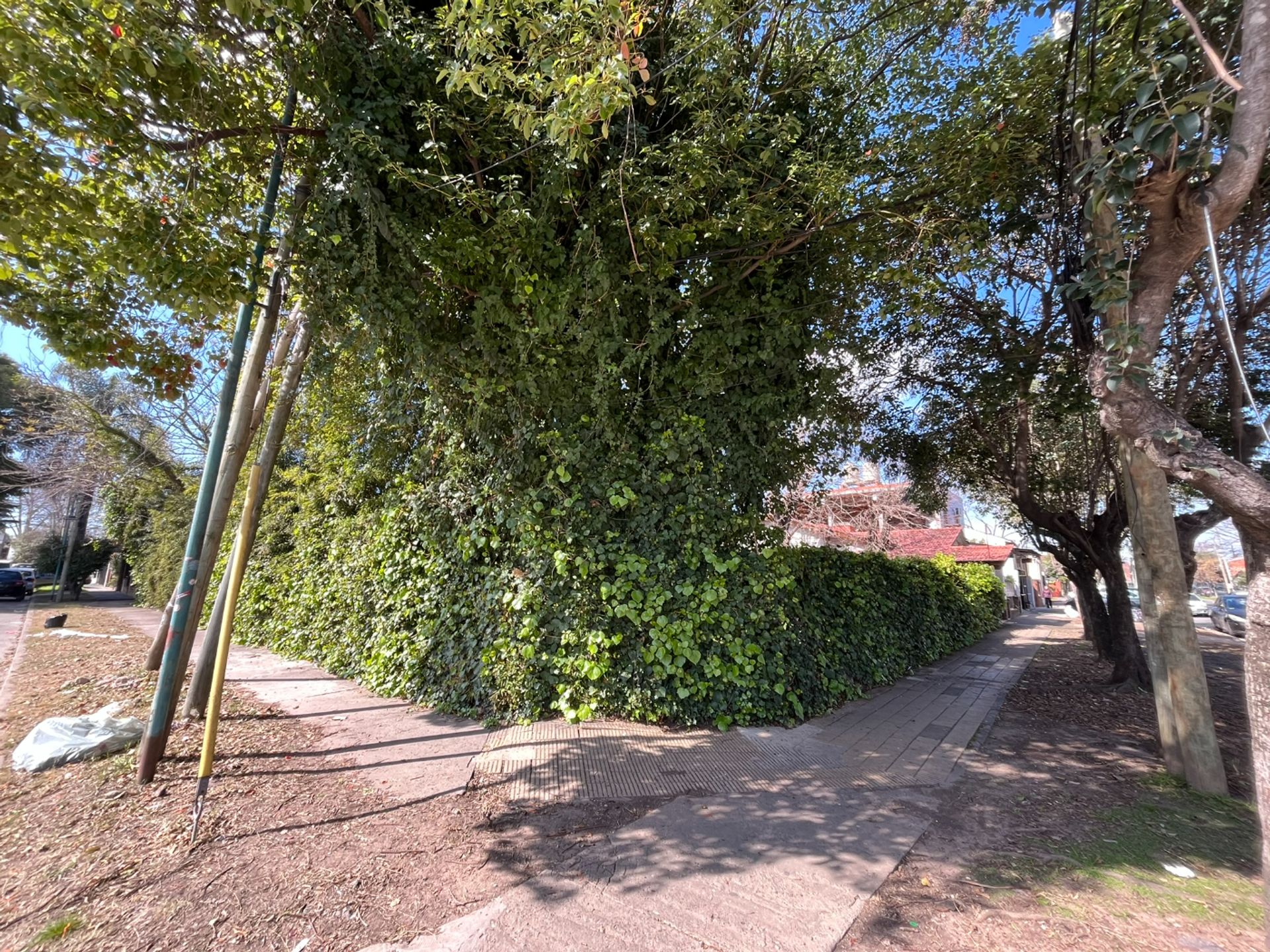 Lote en Venta en Vicente Lopez, G.B.A. Zona Norte