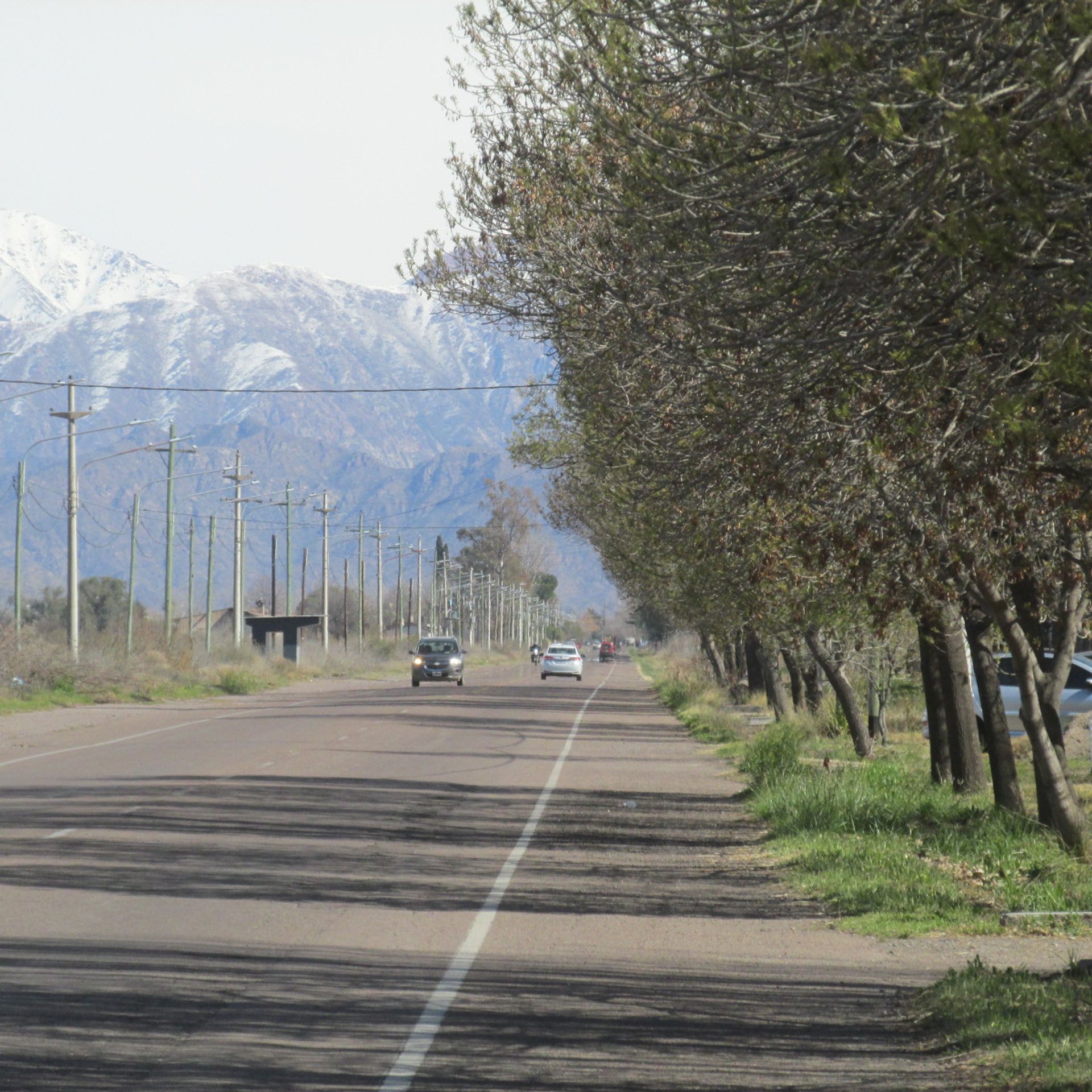 Campo en Venta en San Carlos, Mendoza