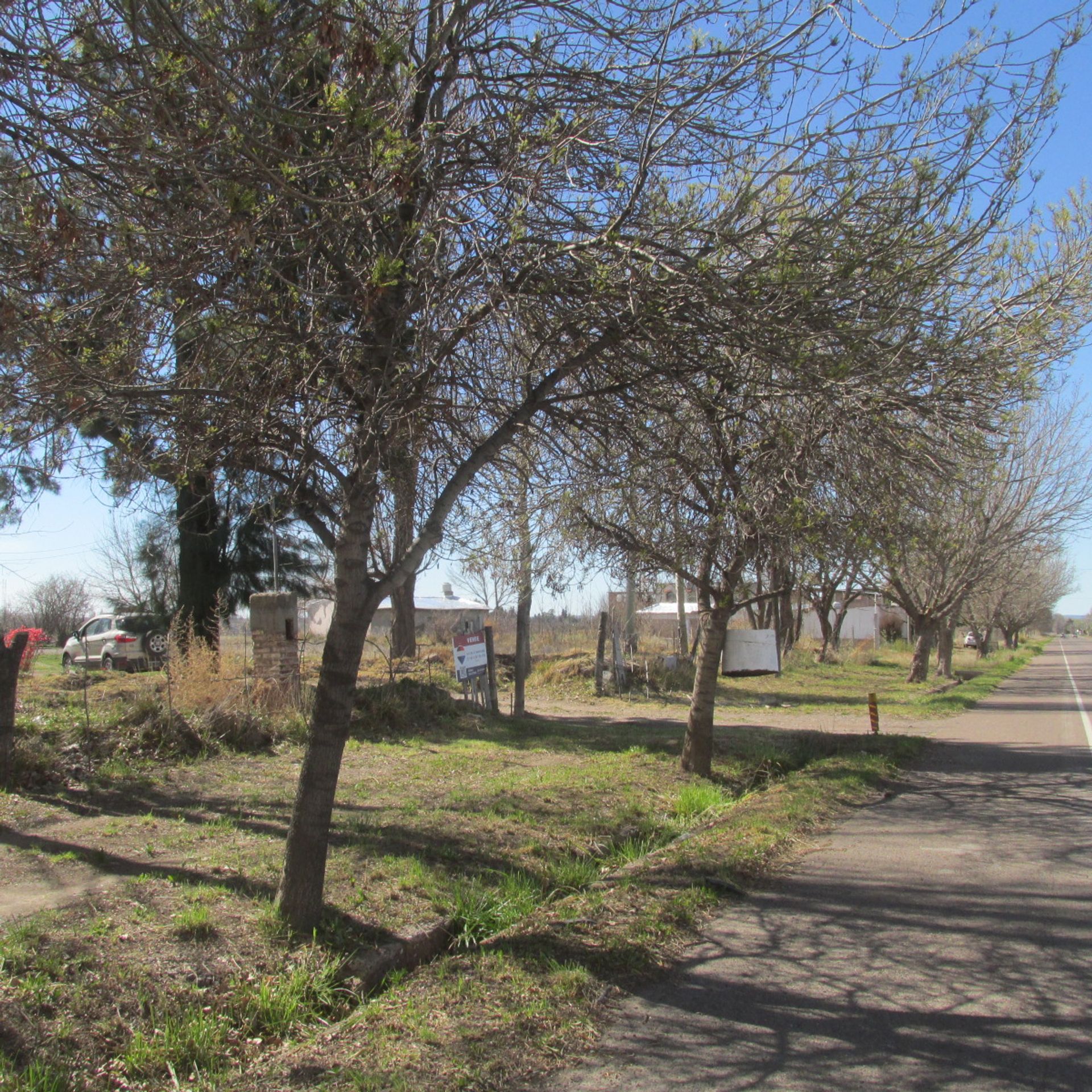 Campo en Venta en San Carlos, Mendoza