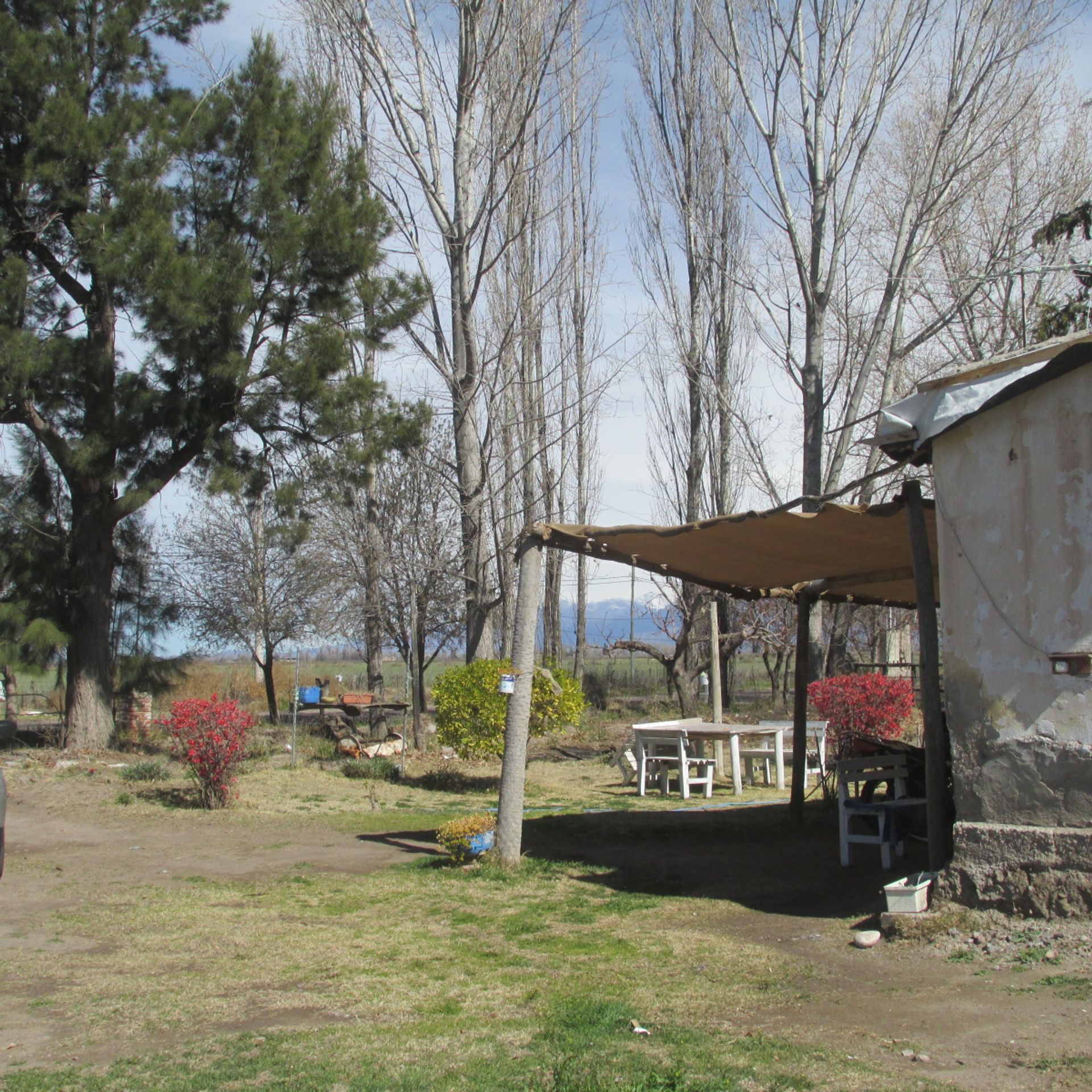 Campo en Venta en San Carlos, Mendoza