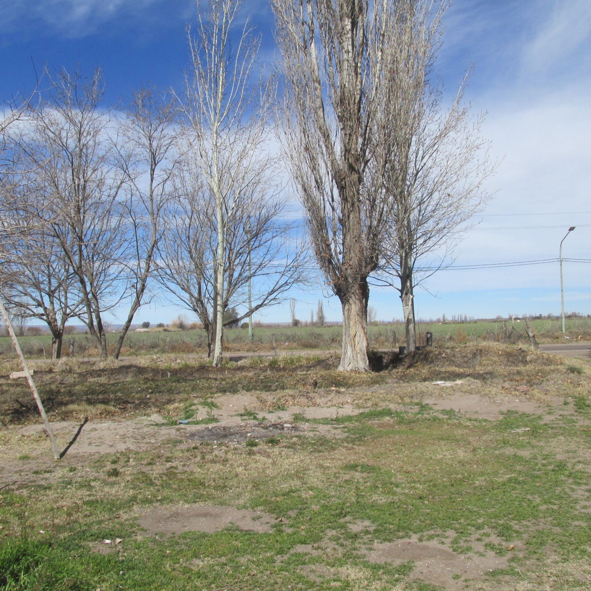 Campo en Venta en San Carlos, Mendoza