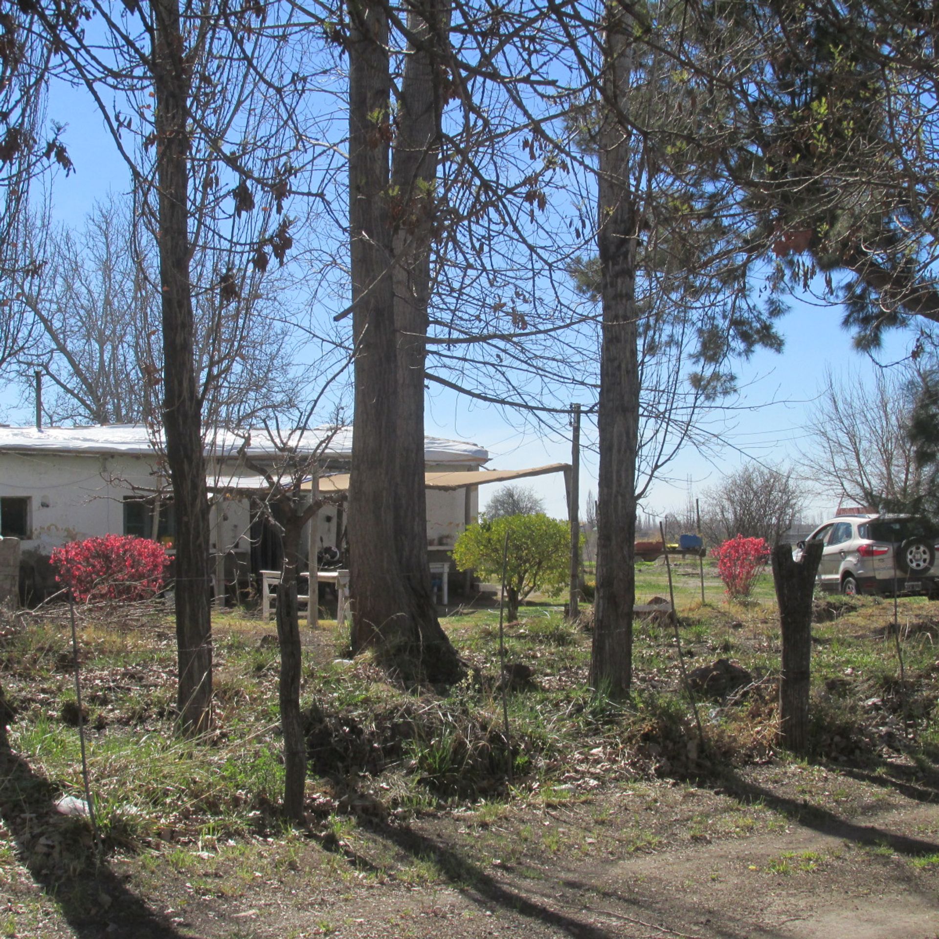 Campo en Venta en San Carlos, Mendoza