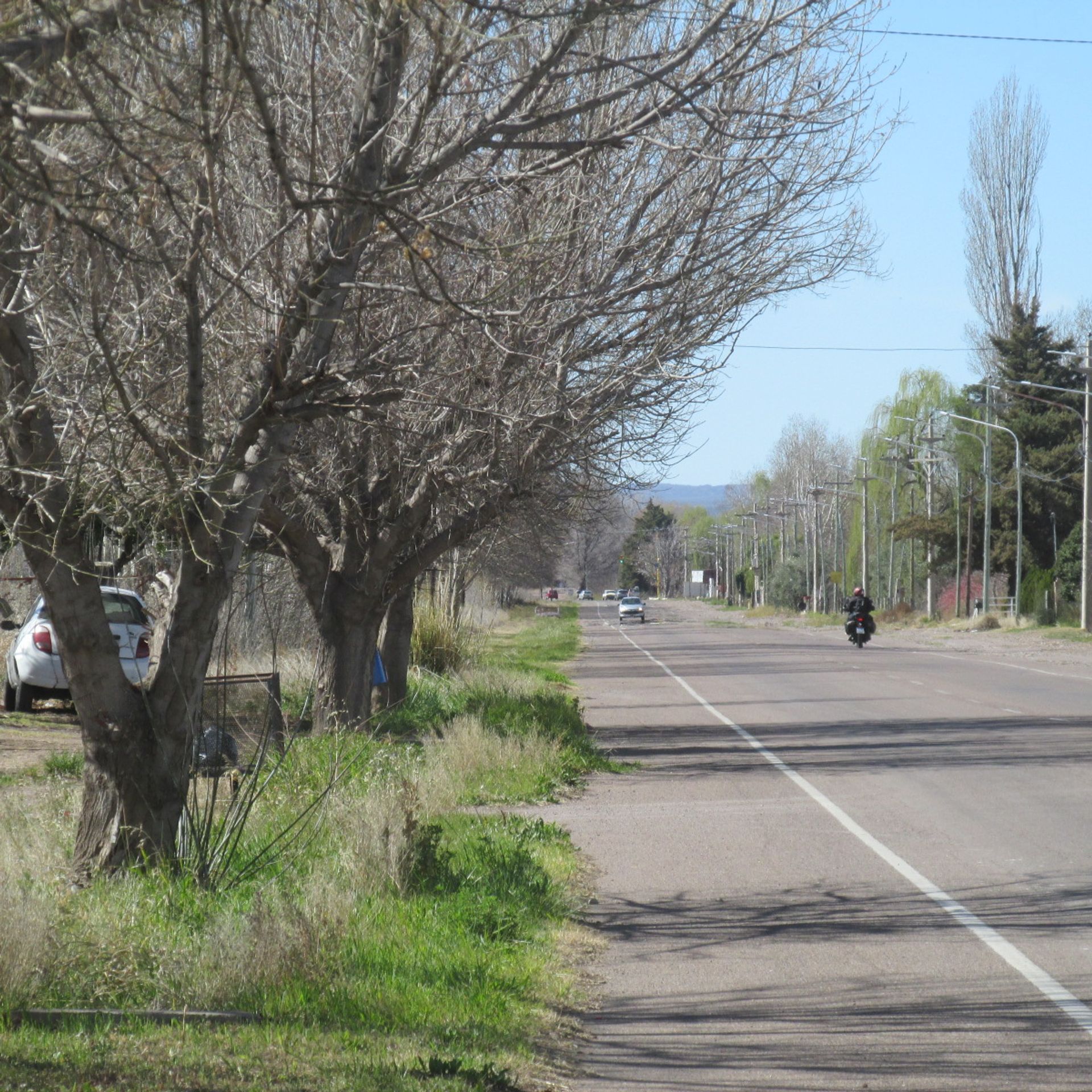 Campo en Venta en San Carlos, Mendoza