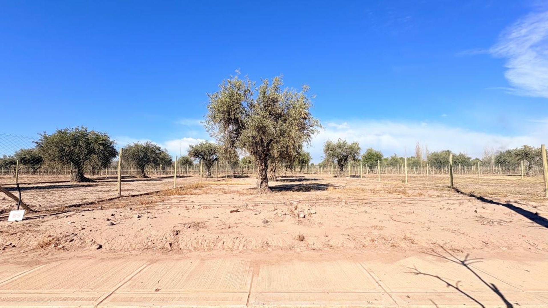 Lote en Venta en Maipu, Mendoza