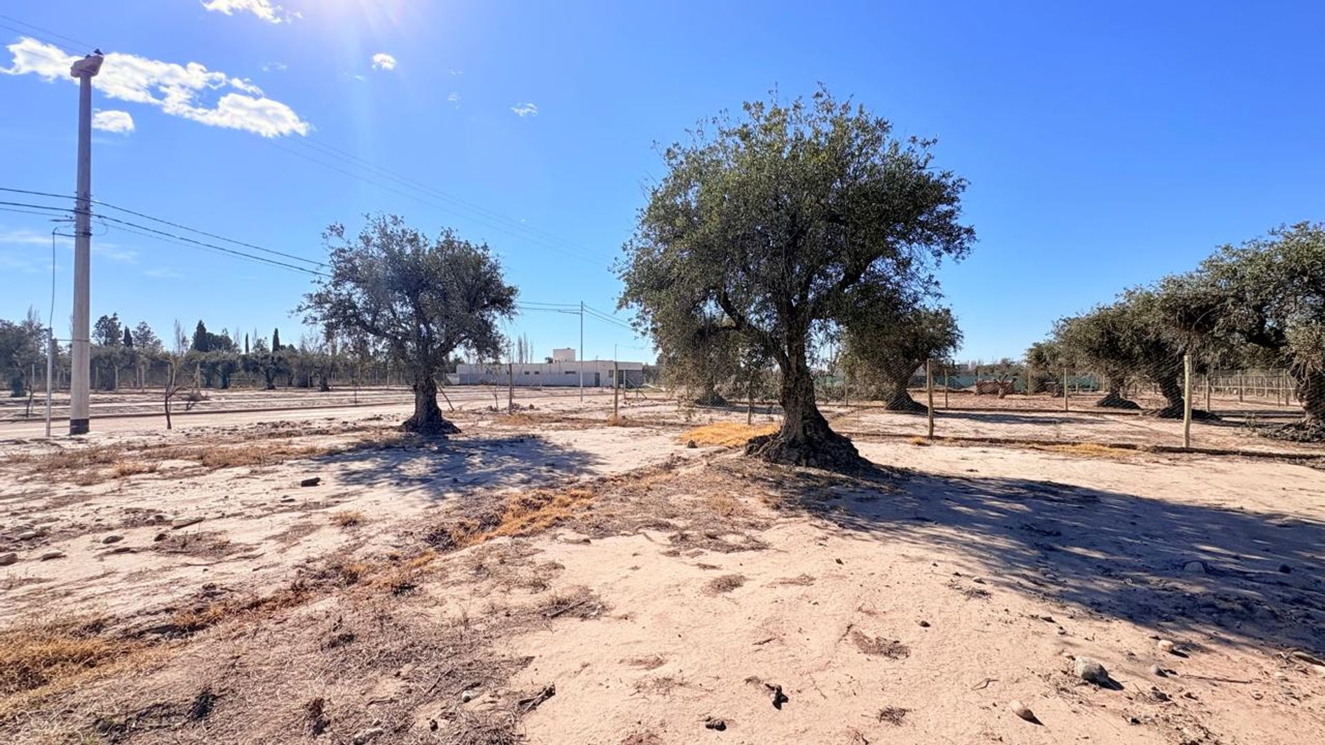 Lote en Venta en Maipu, Mendoza
