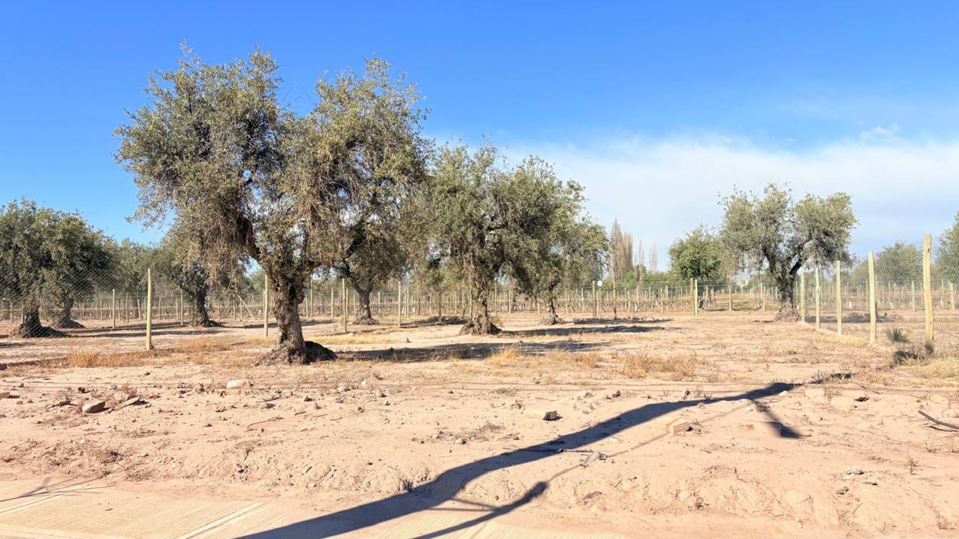 Lote en Venta en Maipu, Mendoza