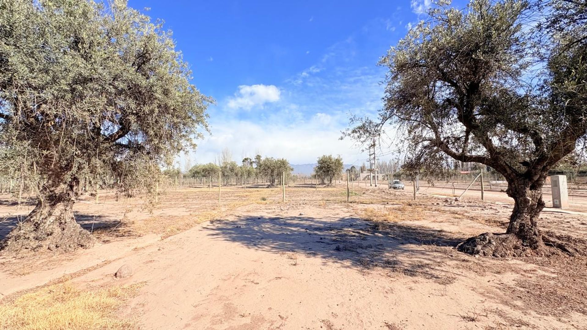 Lote en Venta en Maipu, Mendoza