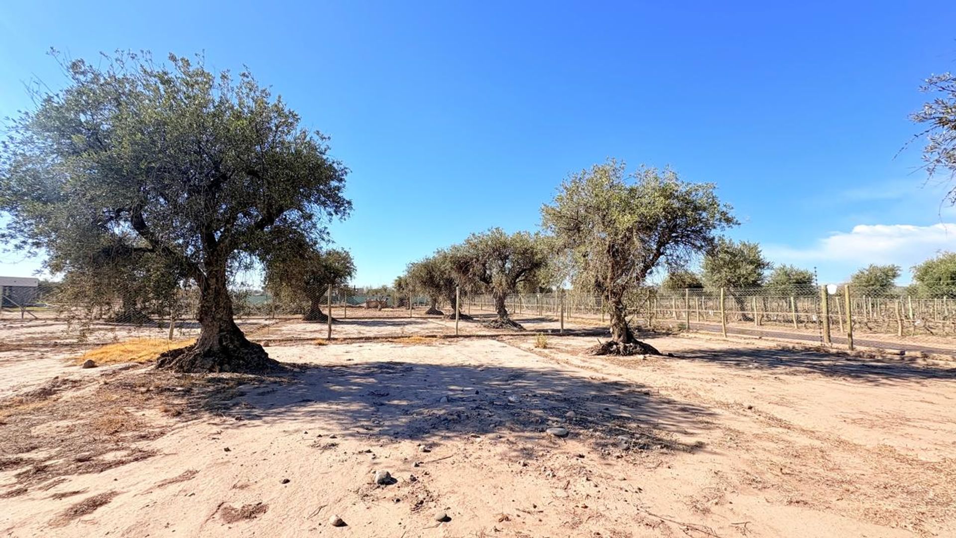Lote en Venta en Maipu, Mendoza
