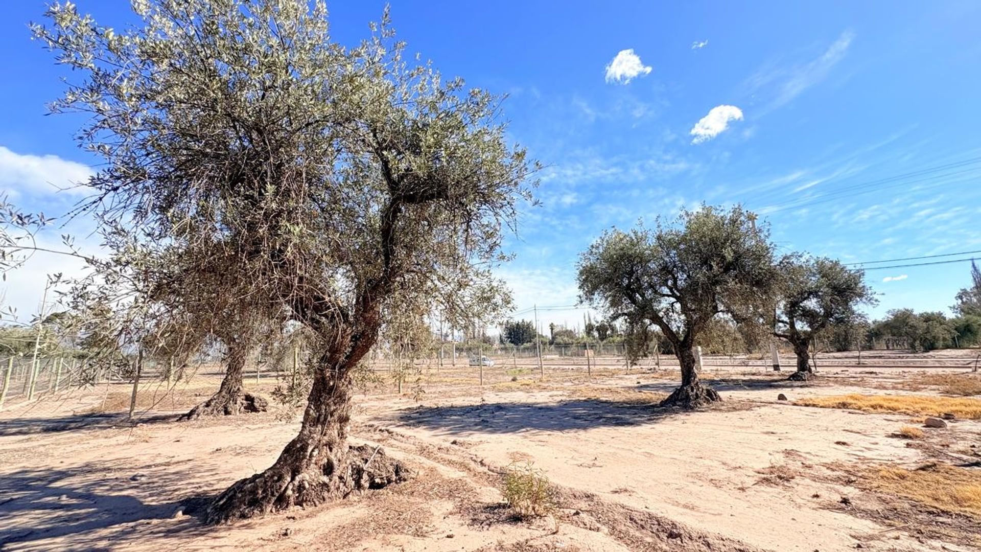 Lote en Venta en Maipu, Mendoza