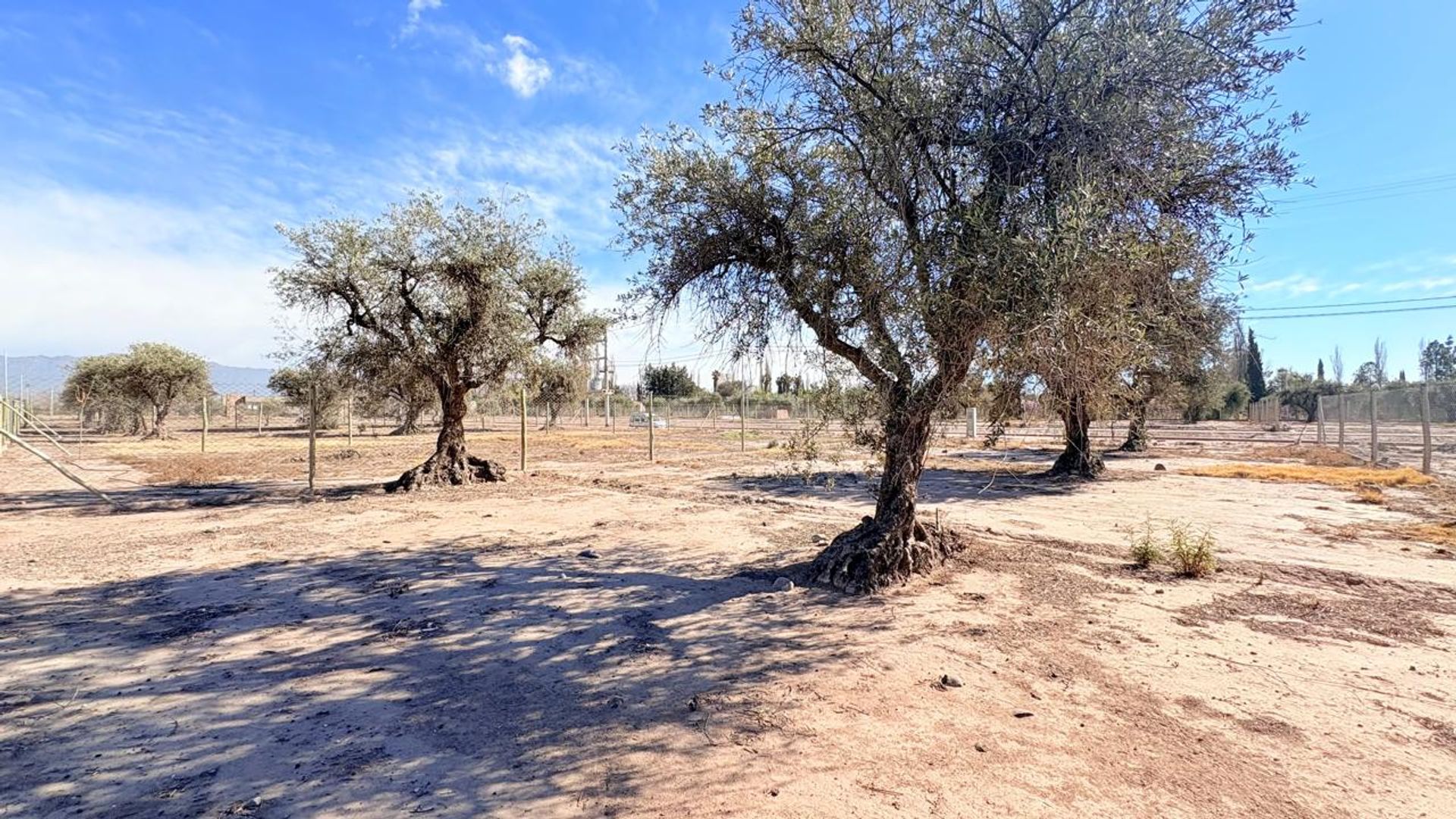 Lote en Venta en Maipu, Mendoza