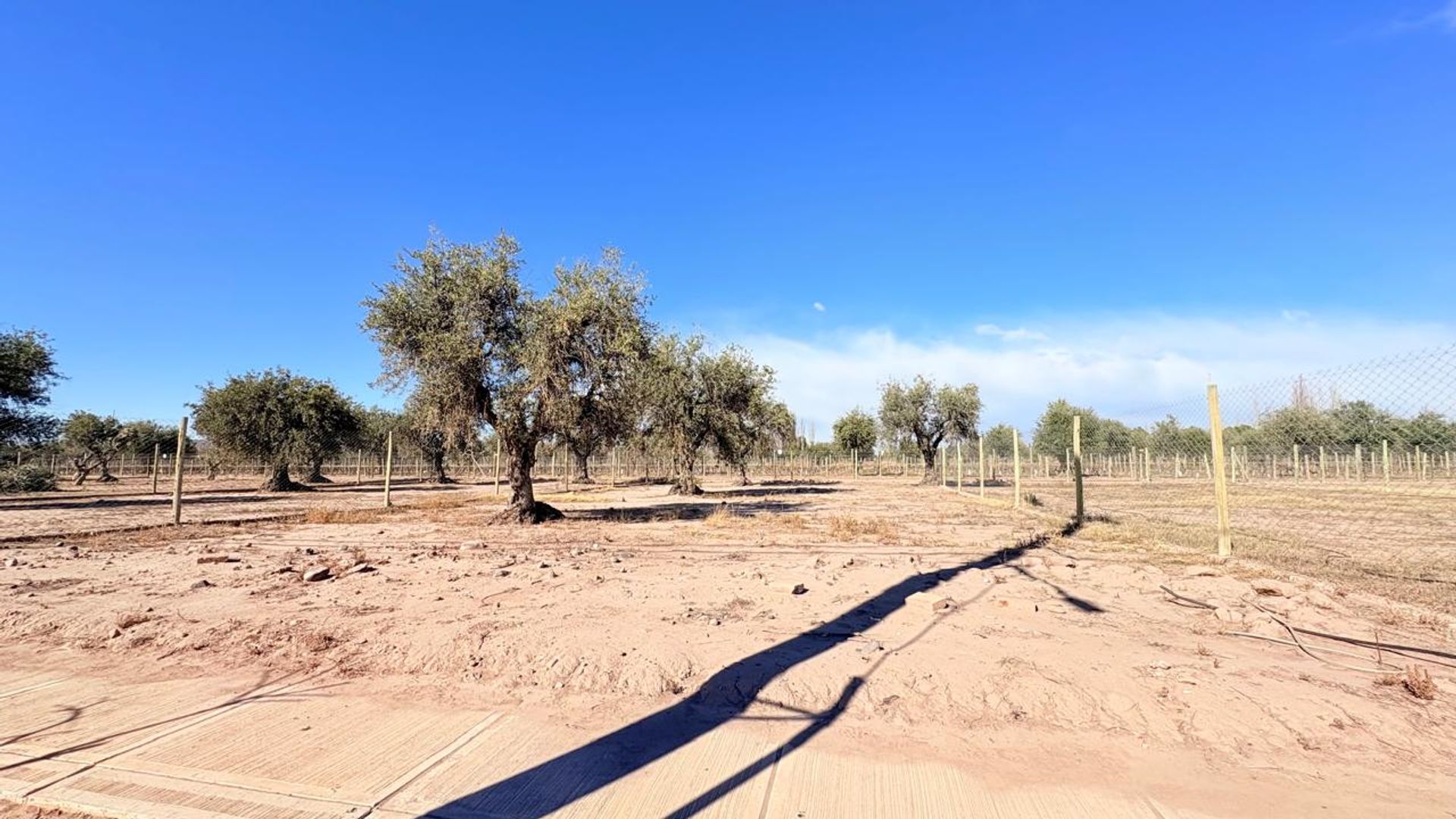 Lote en Venta en Maipu, Mendoza