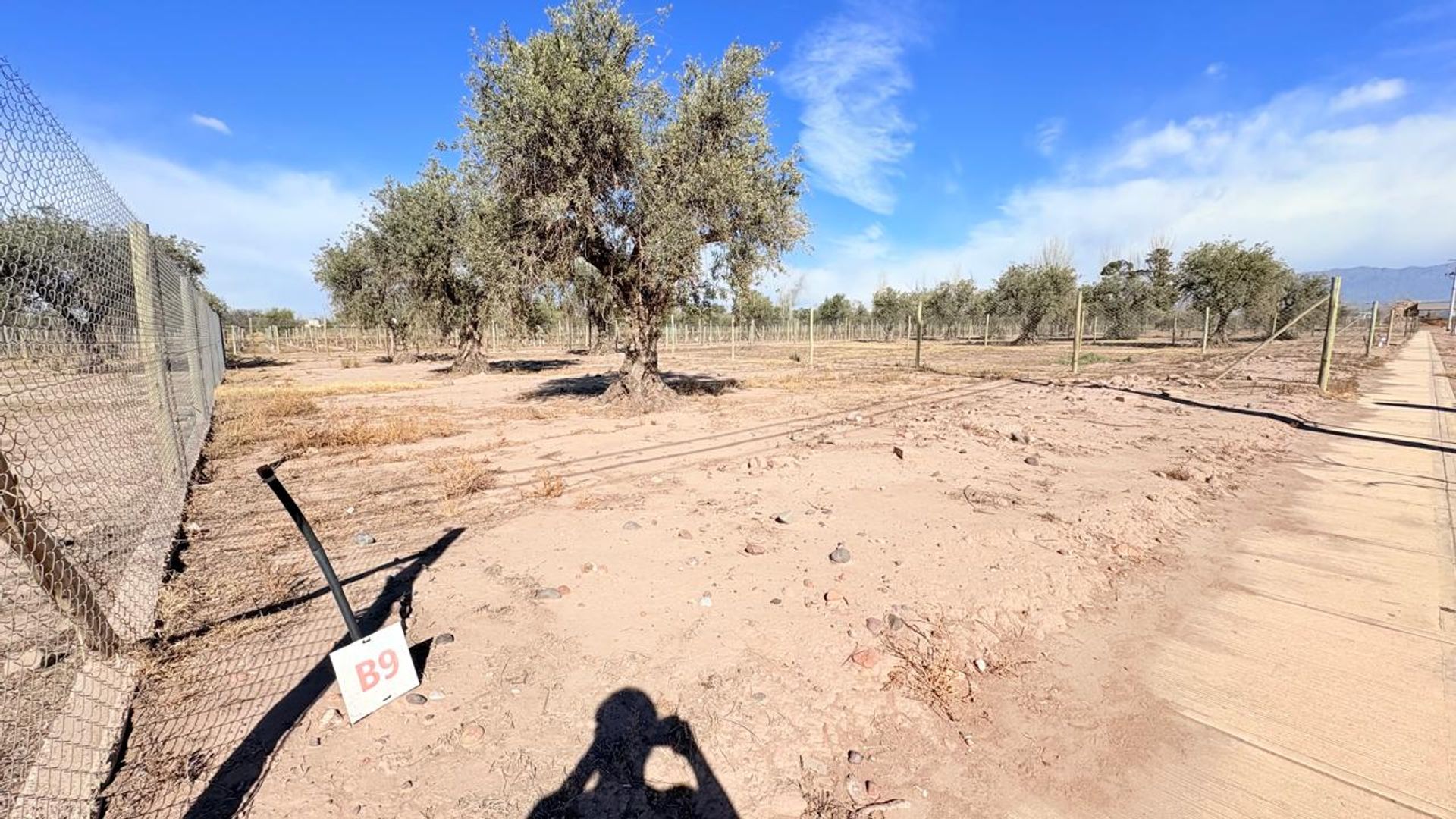 Lote en Venta en Maipu, Mendoza