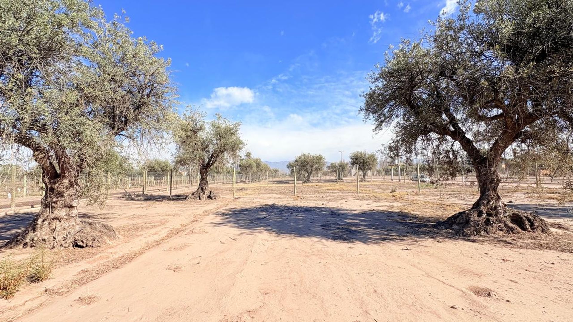 Lote en Venta en Maipu, Mendoza