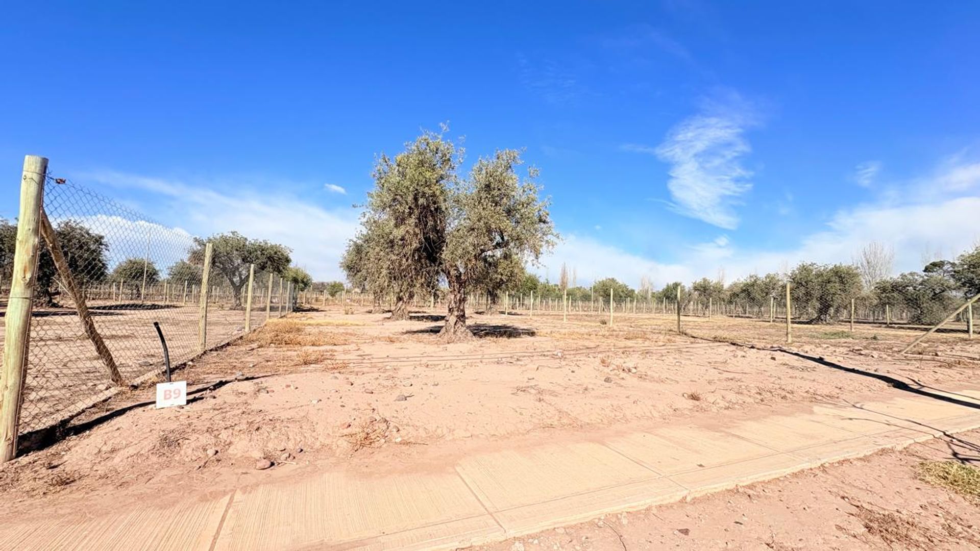 Lote en Venta en Maipu, Mendoza