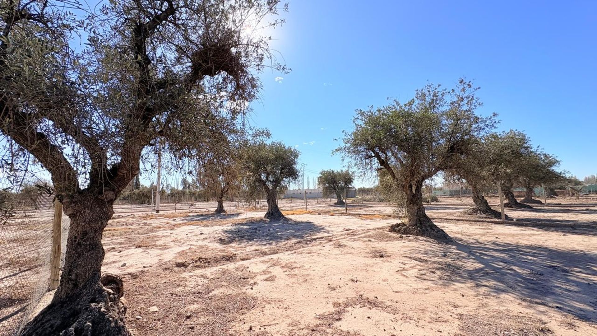 Lote en Venta en Maipu, Mendoza