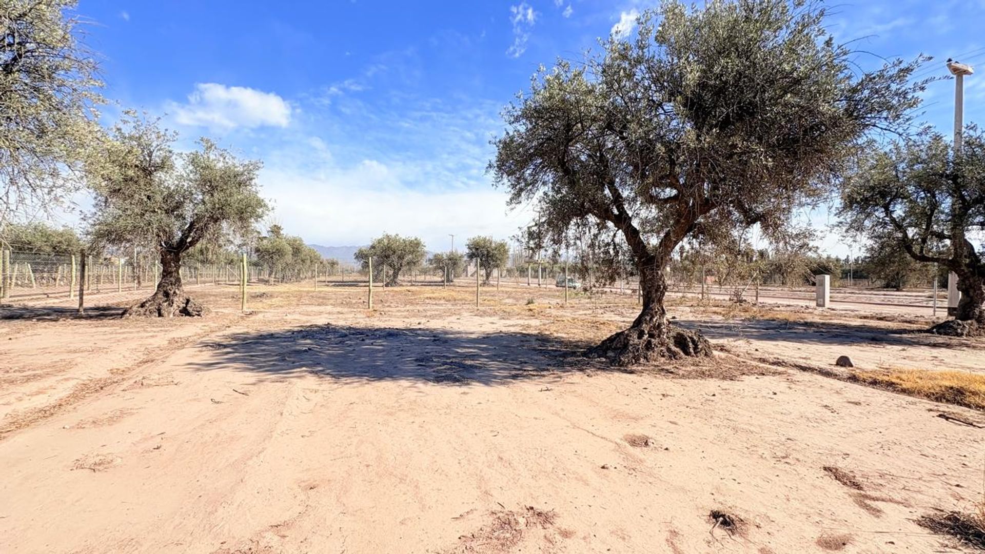 Lote en Venta en Maipu, Mendoza
