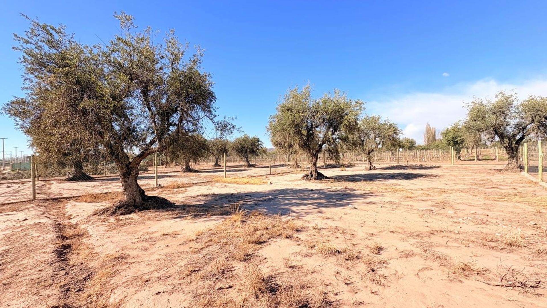 Lote en Venta en Maipu, Mendoza
