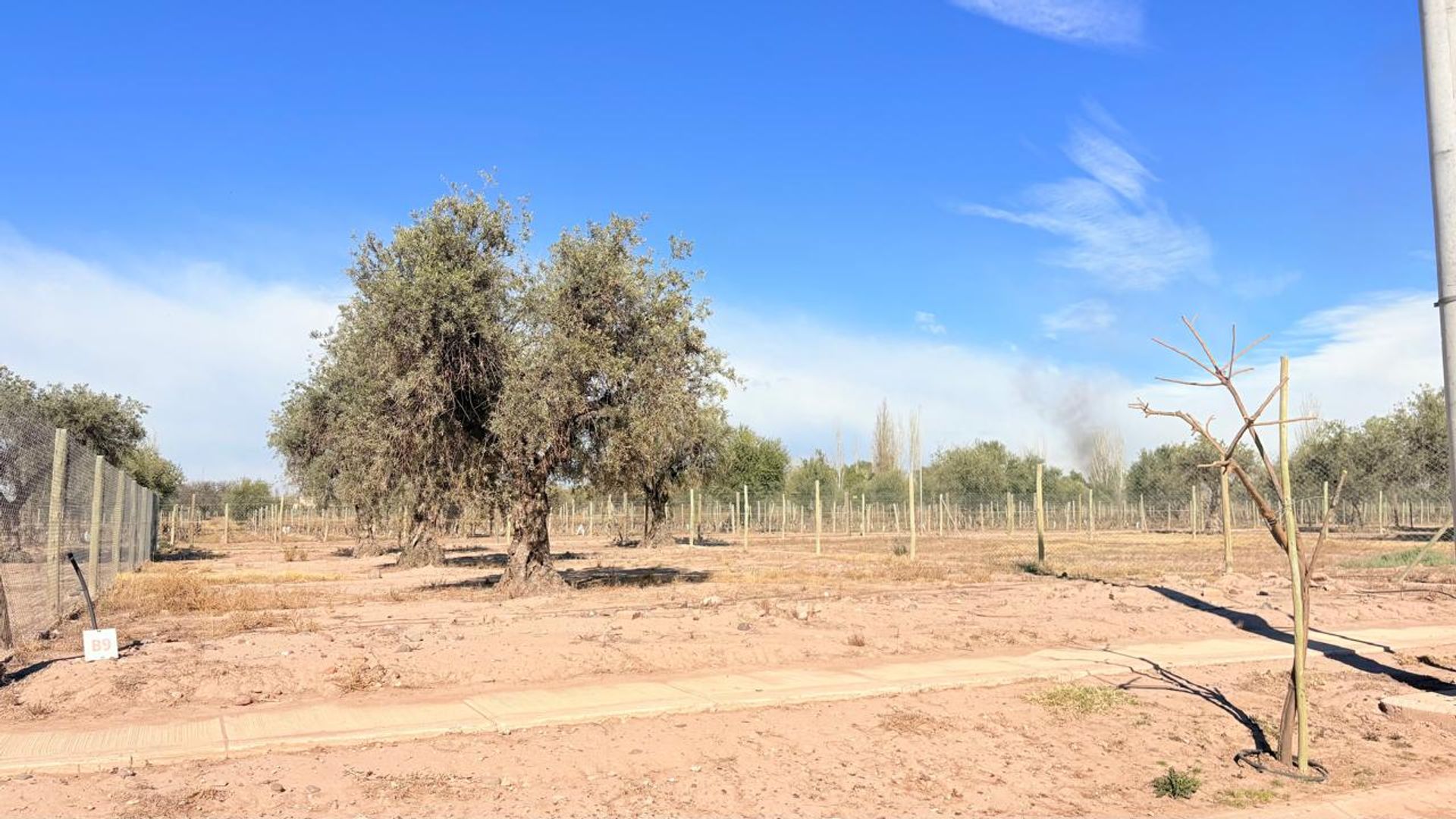 Lote en Venta en Maipu, Mendoza