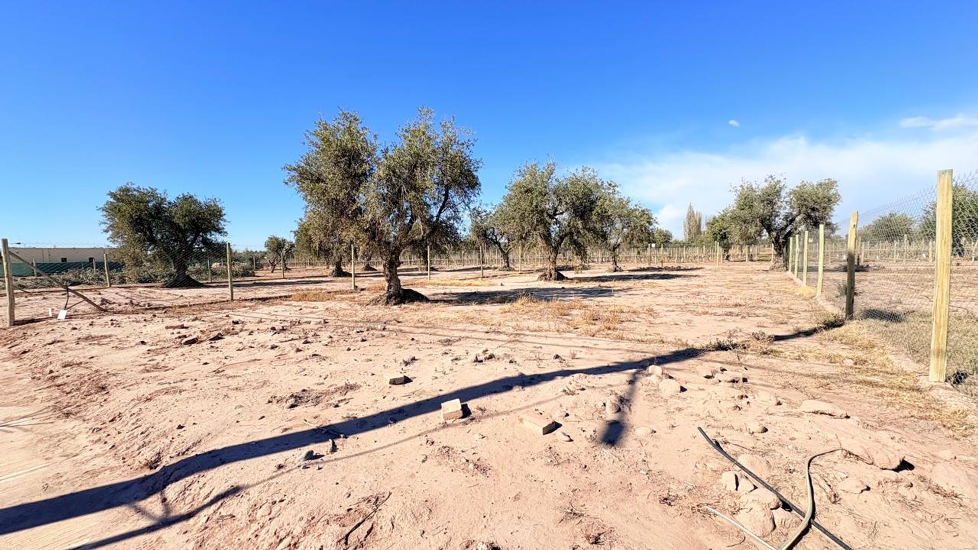 Lote en Venta en Maipu, Mendoza